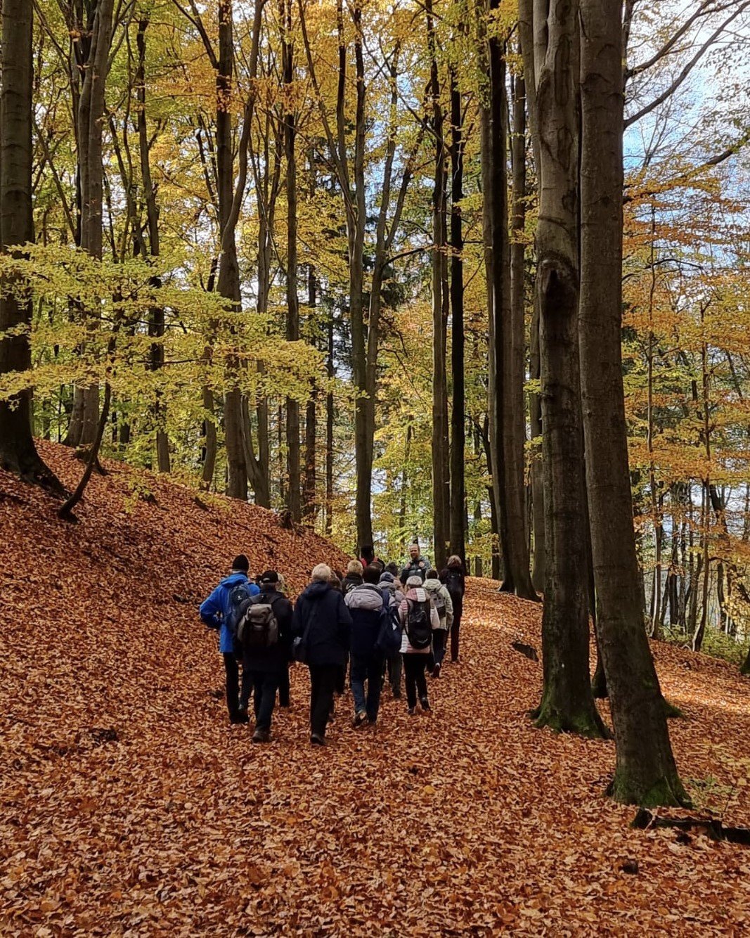 Date im Grünen
