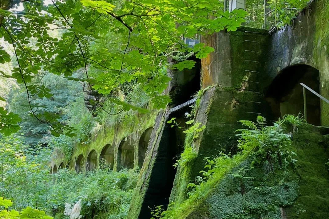 Lohmener Klamm (50 bis 60 Jahre)