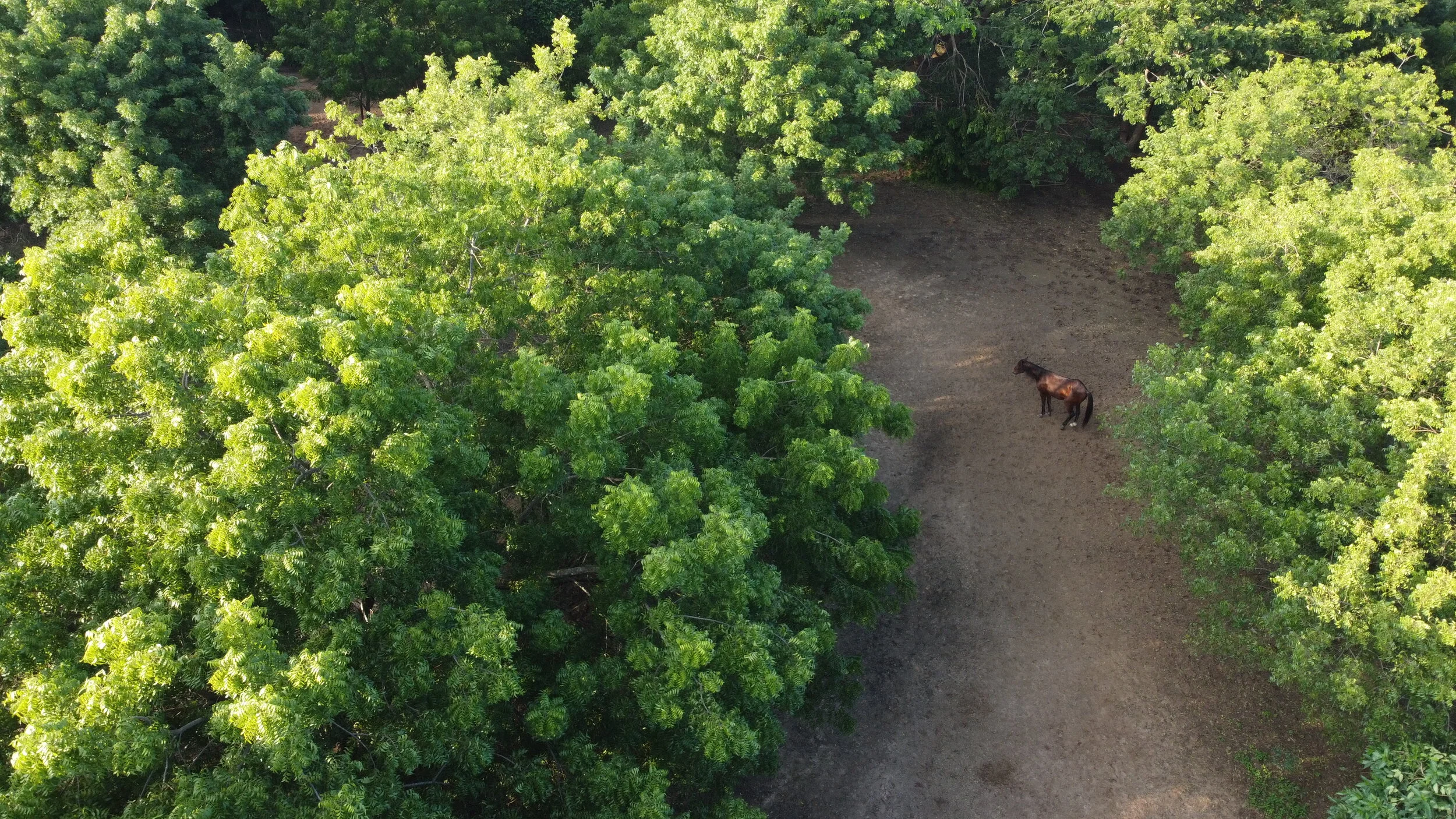 DJI_0029.JPG