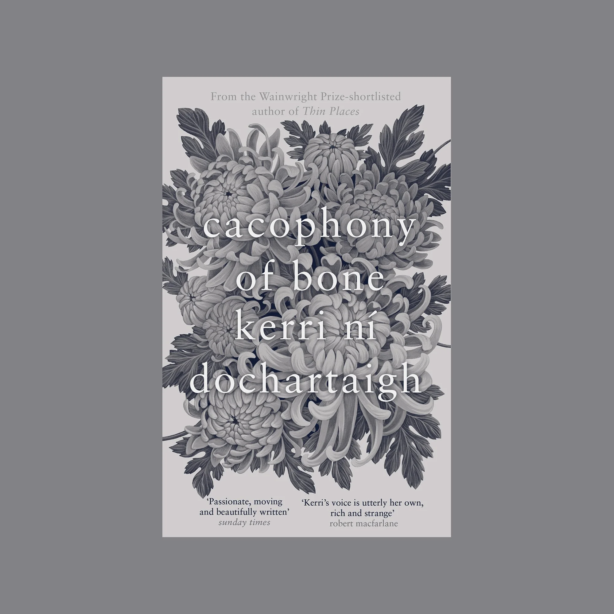 Happy publication day to Kerri ni Dochartaigh