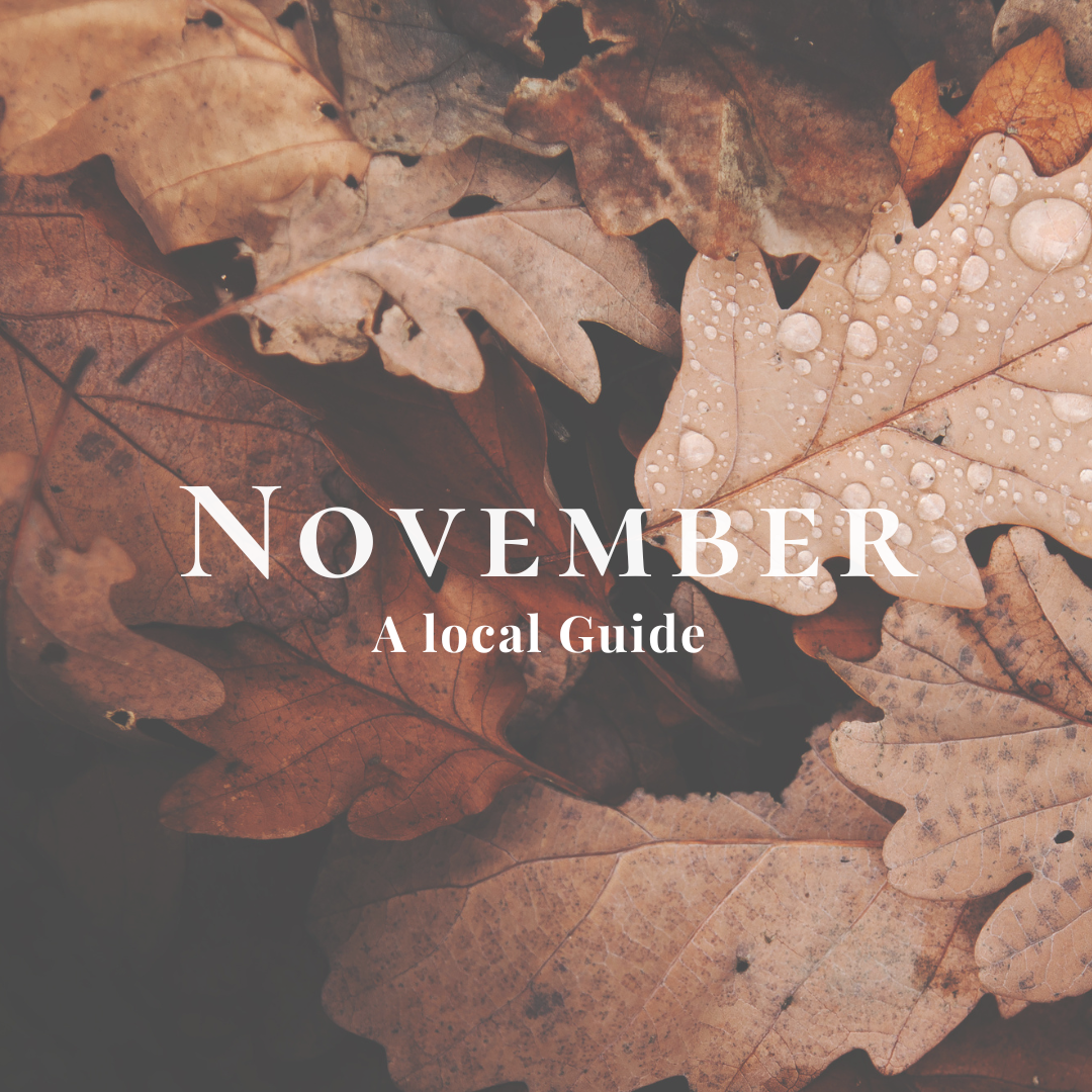 November Check In Things to do in November In St. Albans, Hertfordshire — We Are St. Albans