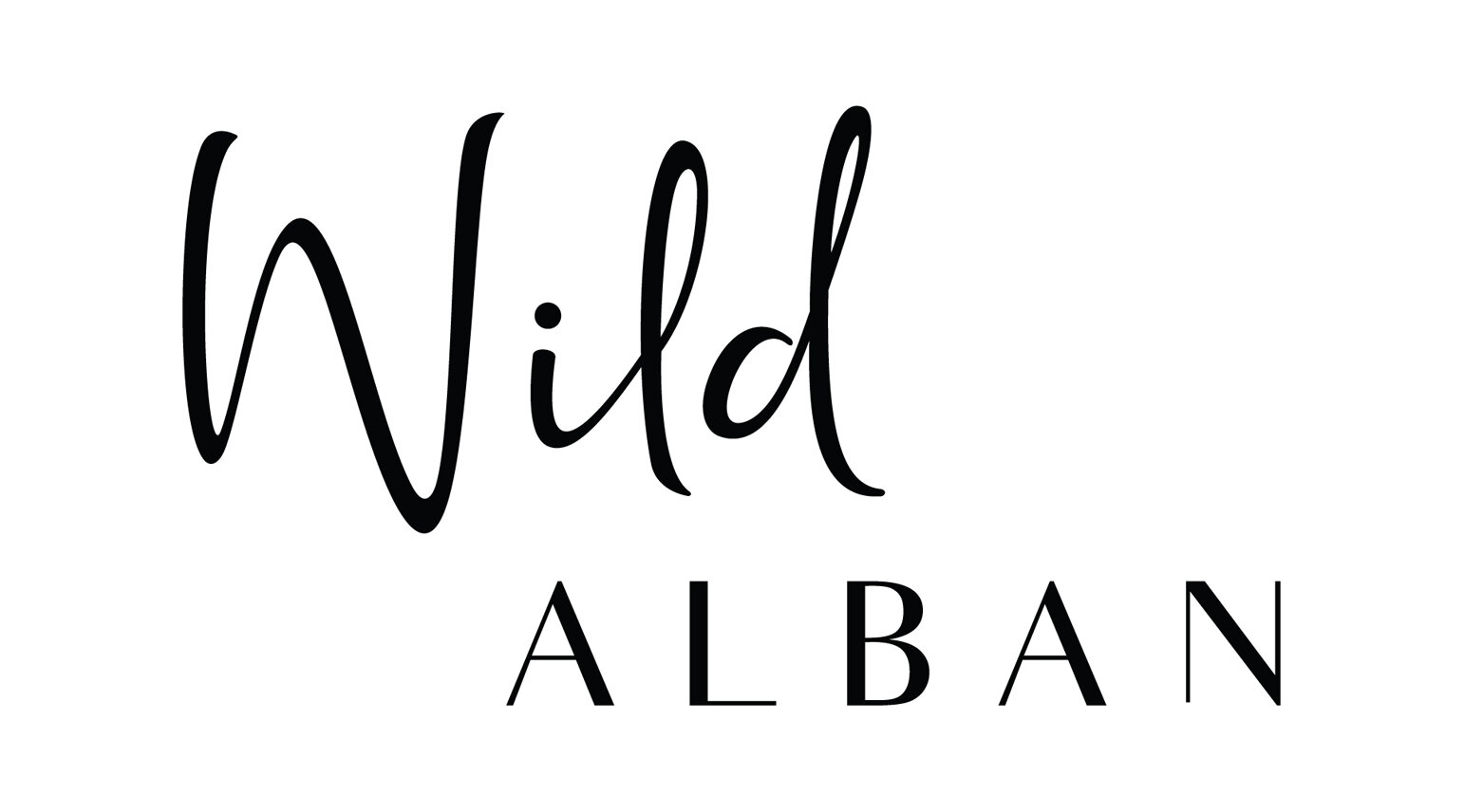 Wild Alban in St. Albans, Hertfordshire offers homemade gourmet cake