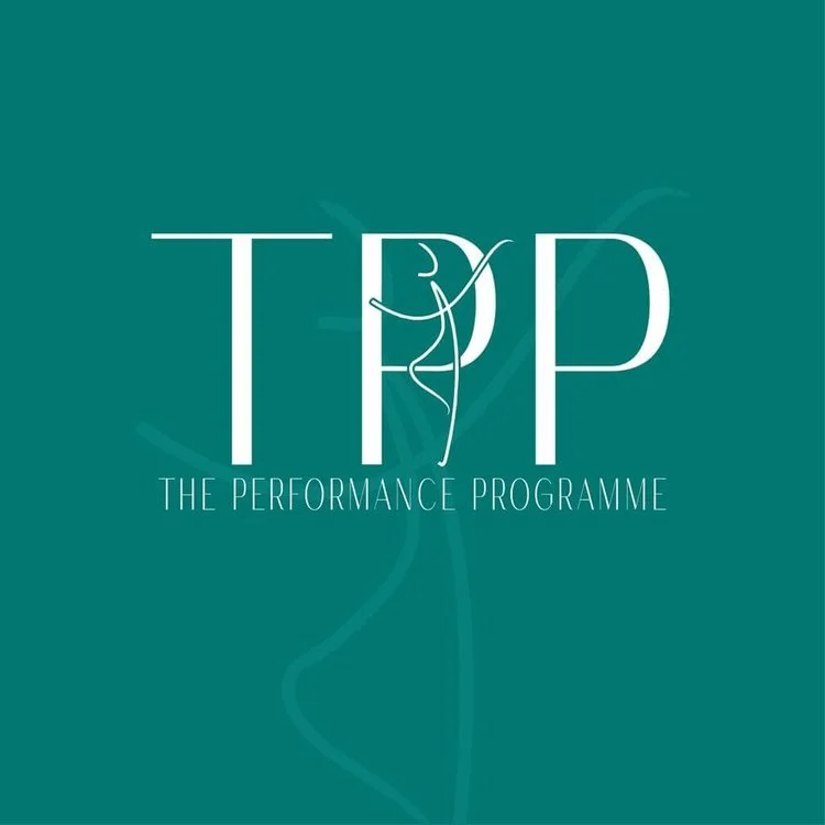  The Performance Programme 