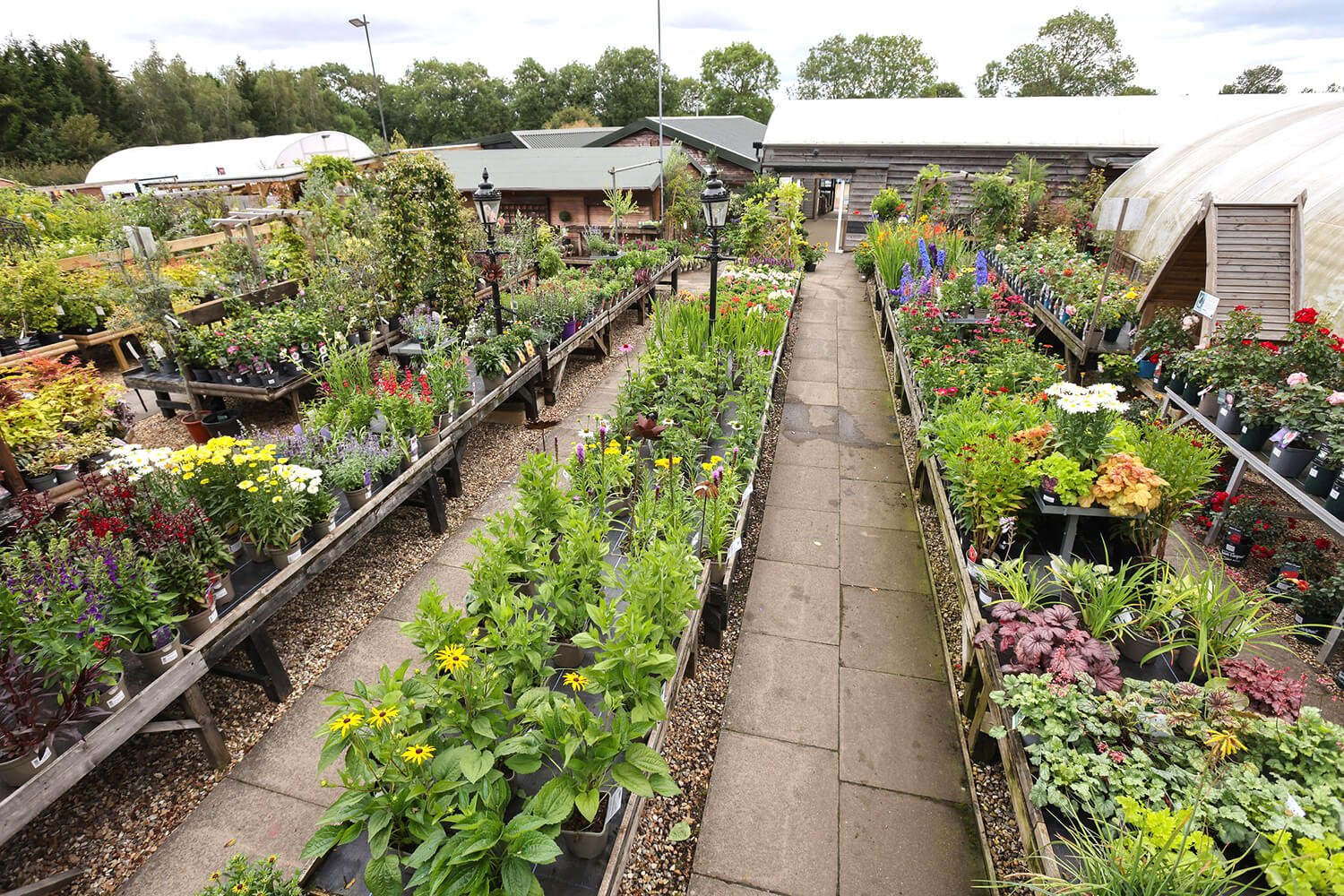 hertfordshire garden centre redbourn plants flowers 