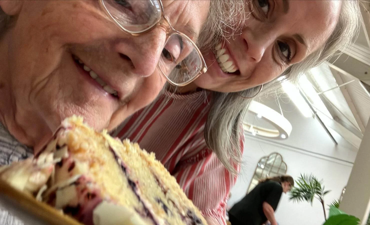 Red Robins Companions St. Albans Elderly Care Support