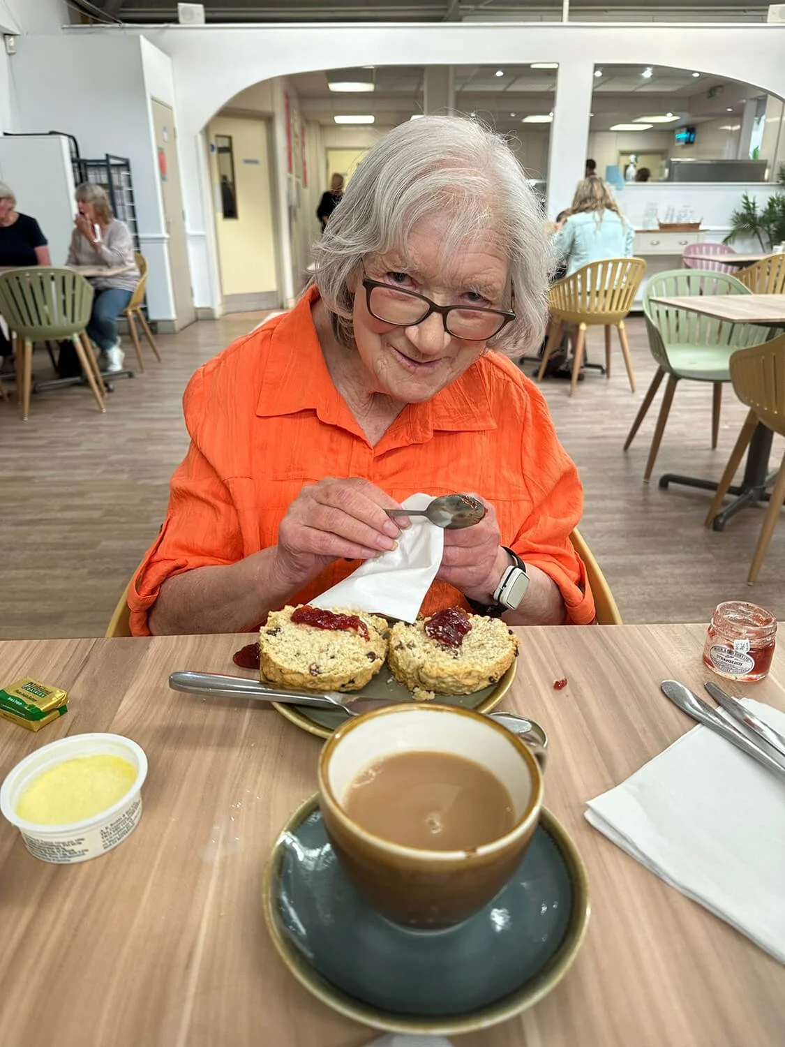 Red Robins Companions St. Albans Elderly Care Support