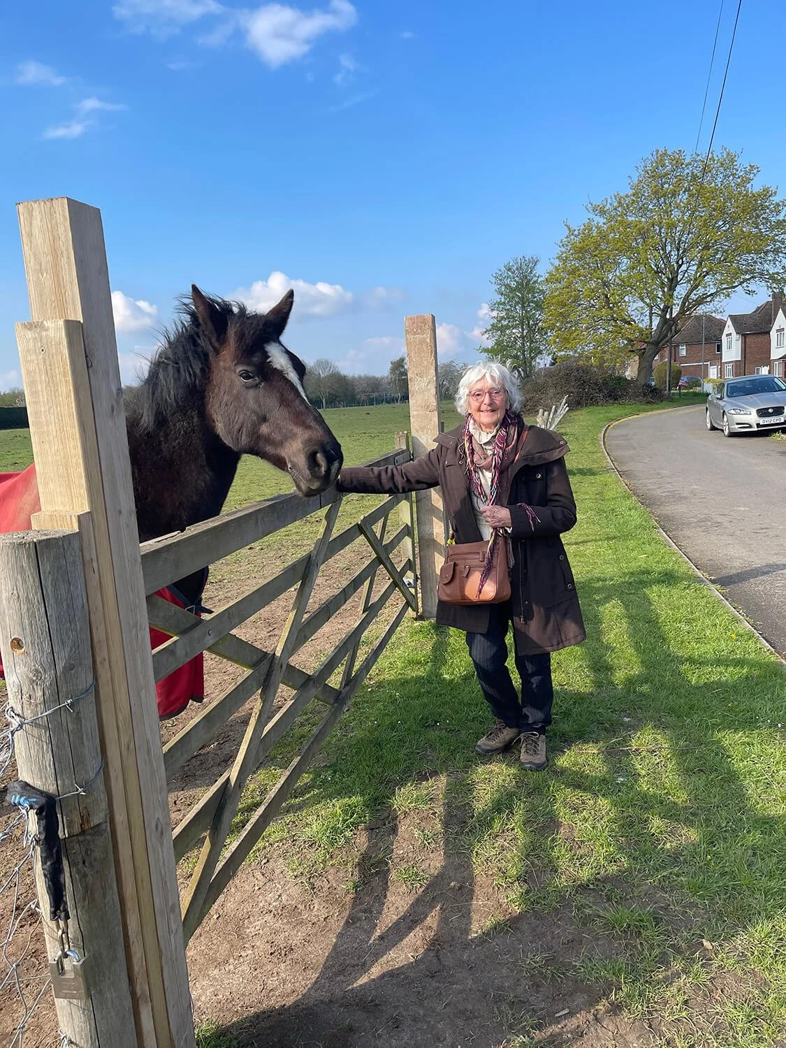 Red Robins Companions St. Albans Elderly Care Support