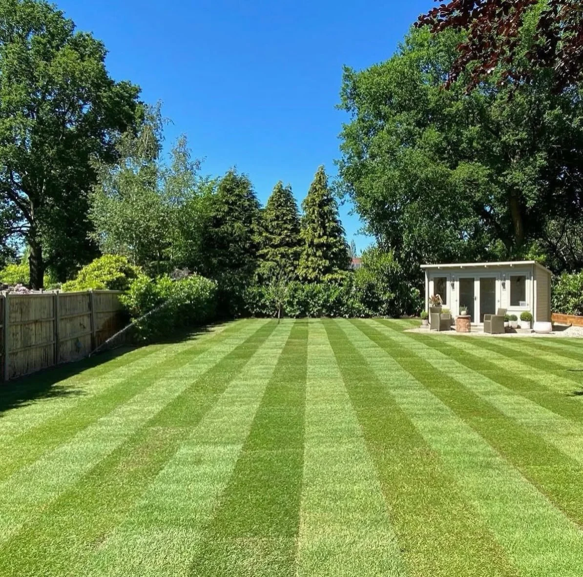 Transforming a garden before your build? 
🏡
This is a fantastic example as to why thinking about the garden first can help your budget. Great access saves time which saves money. 
🪴
Our member @tmtreeandlandscapingltd have really enjoyed working wi