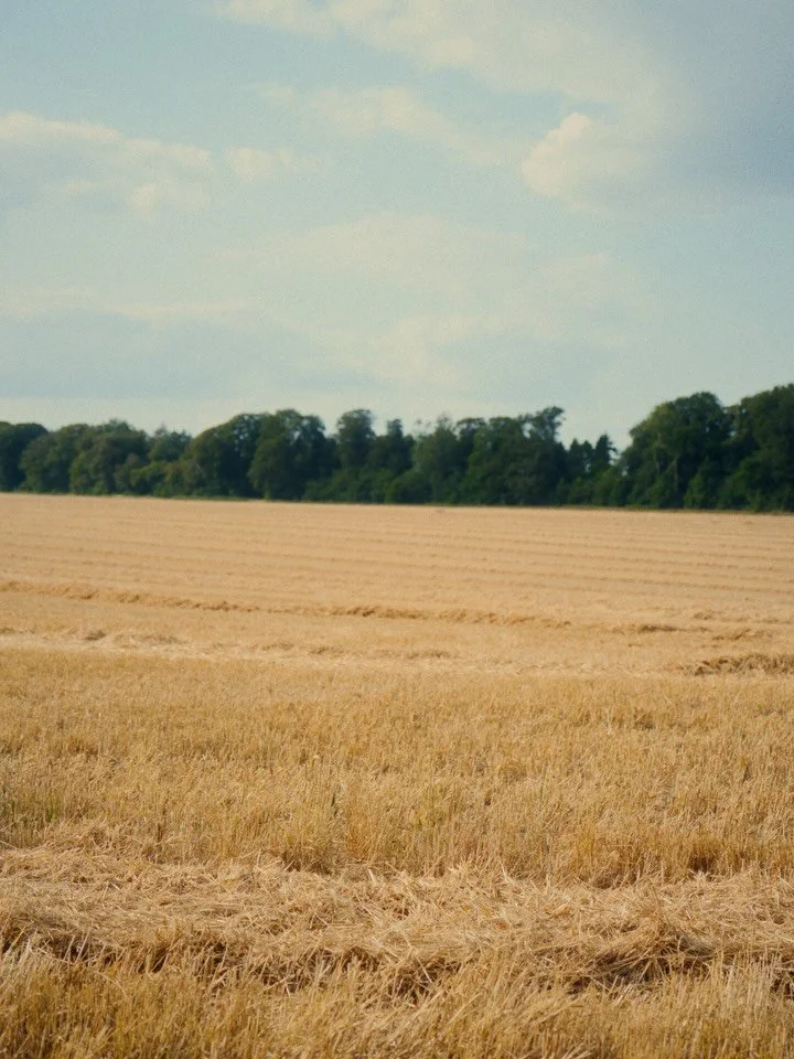 Harvest Festival at Oxmoor Farm 
🌾
Celebrate the year&rsquo;s harvest at @oxmoorfarm on Saturday 29th August and expect a day full of inspiration, conversation and community.
🫶
From 10am to 6pm, enjoy live music, panel discussions, wellness session