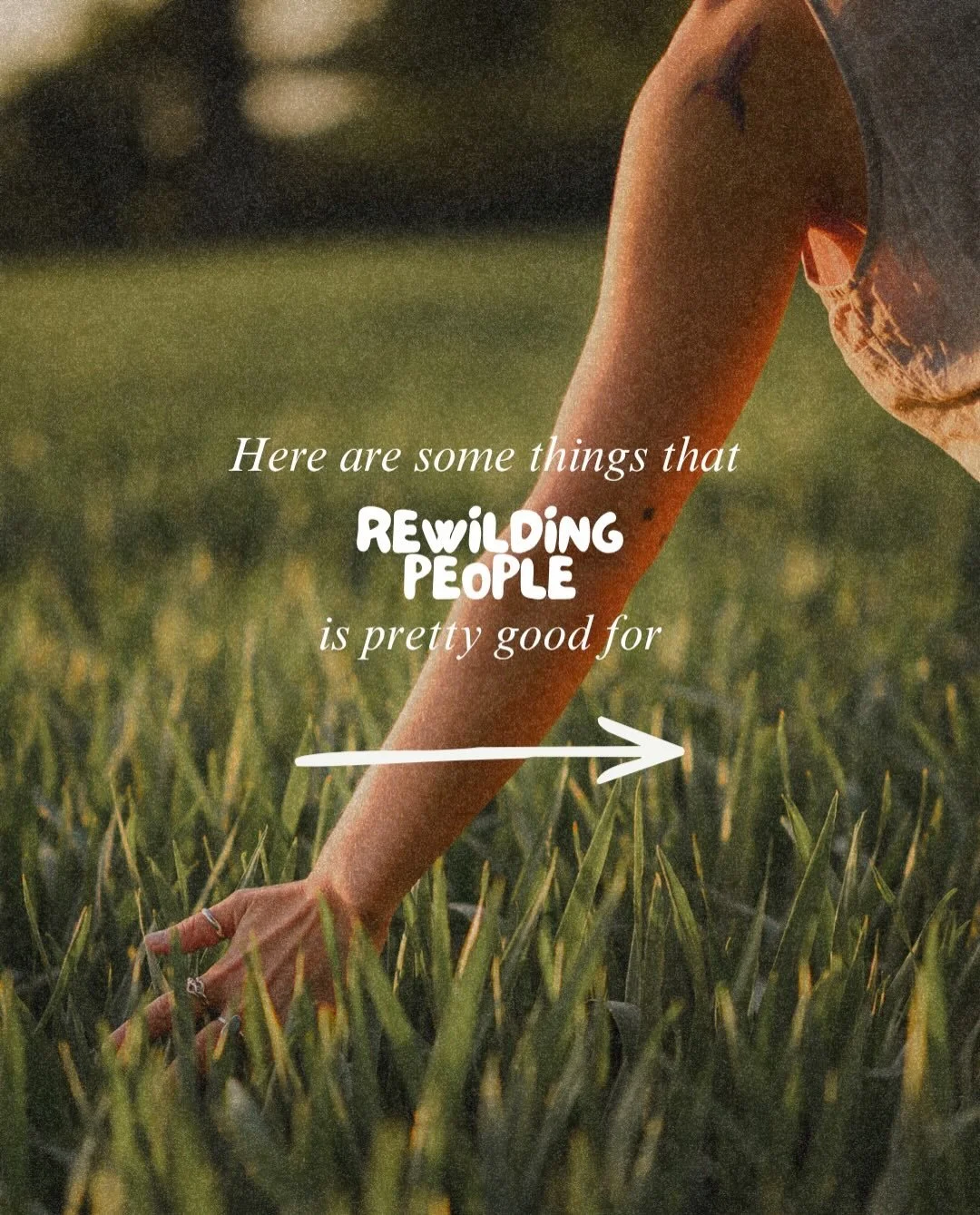 💫 The Rewilding Journey: A 12-week coaching journey 💫 

The Rewilding is brought to you by our member @rewildingpeople . It&rsquo;s a 12-week, deeply personalised coaching journey, bringing together everything @rewildingpeople knows and loves into 