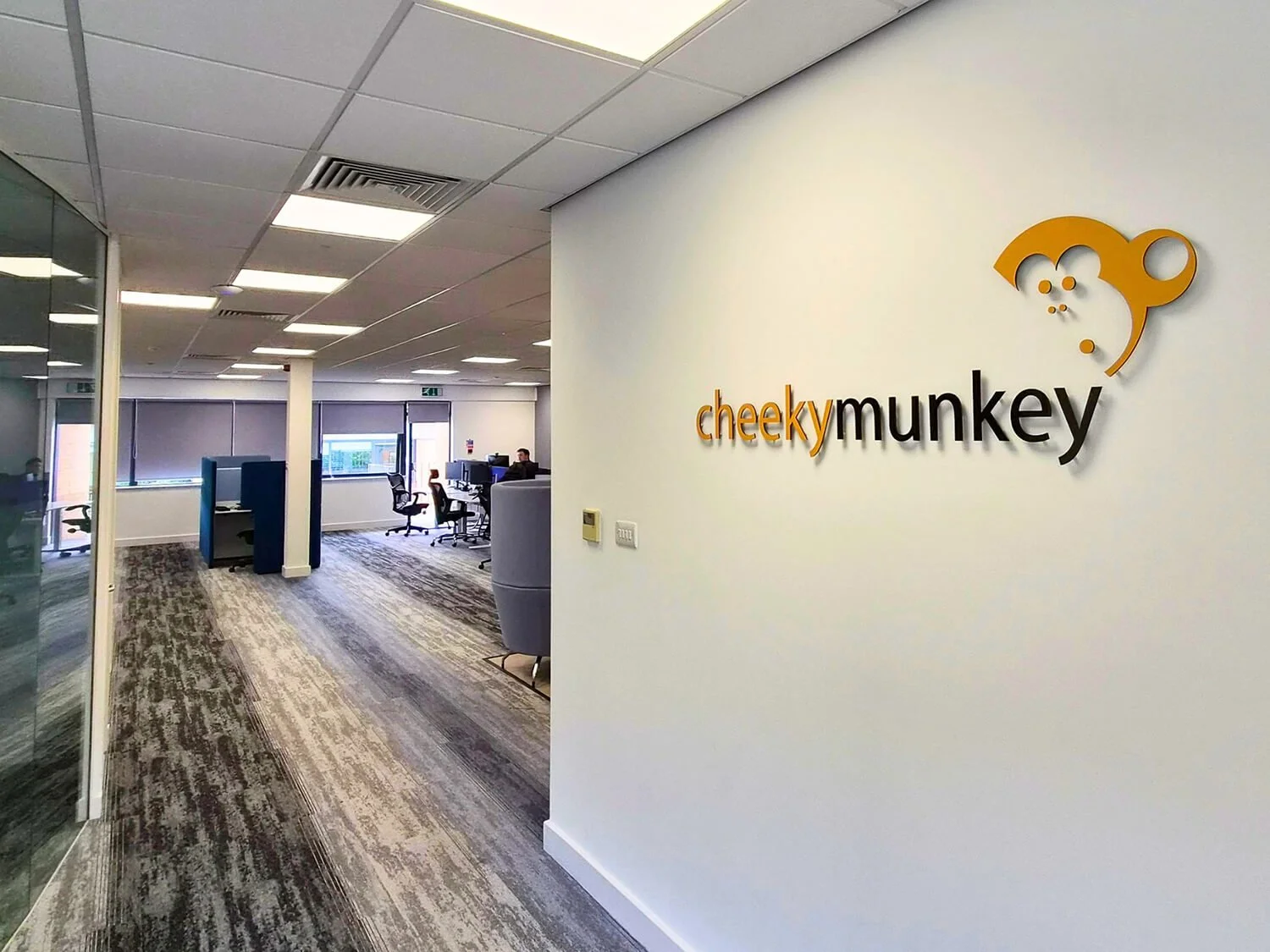 Cheeky Munkey IT Support St Albans Hertfordshire