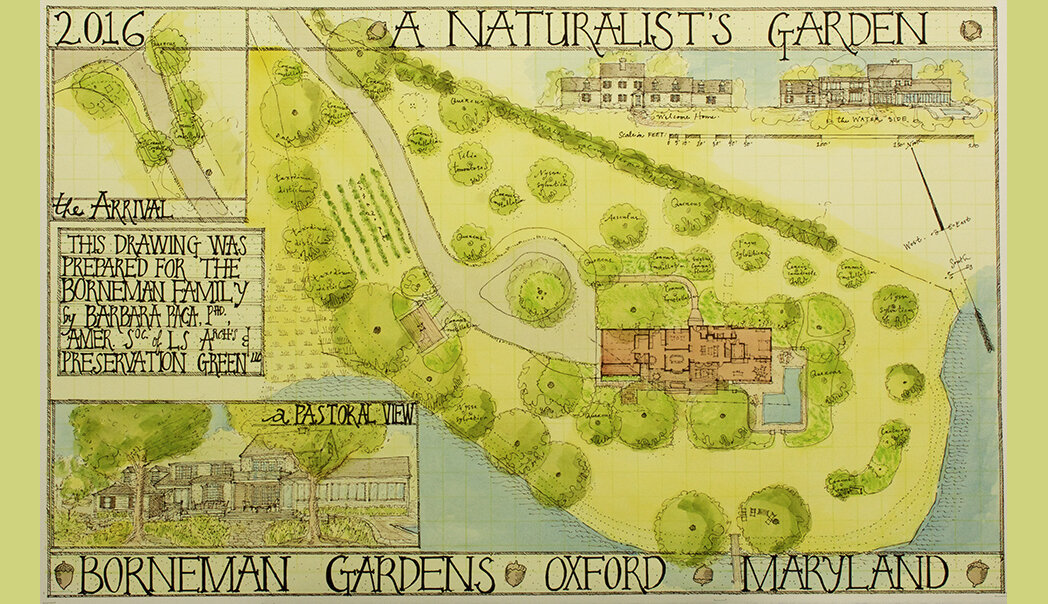 Borneman Gardens.jpg