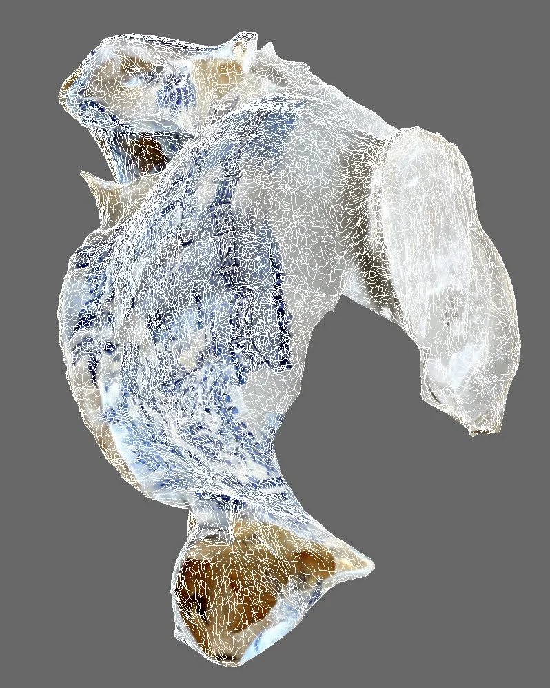  conversation piece V, 3d scan for a composite object, archival print, 2024 