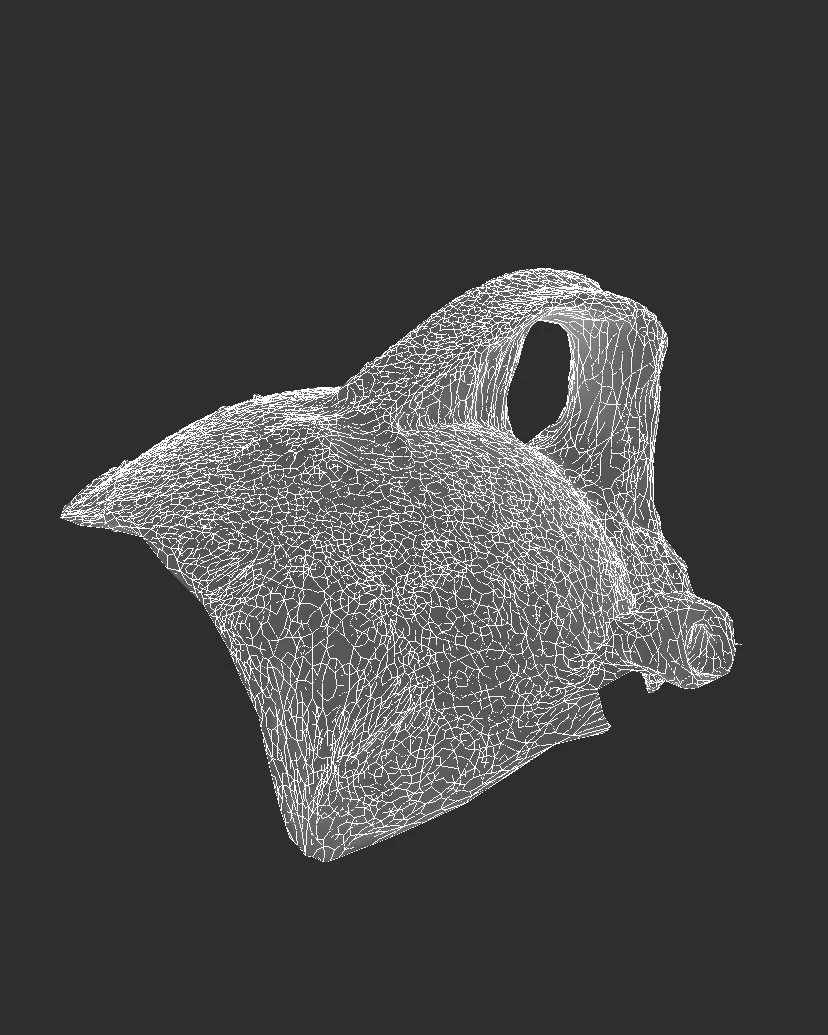  conversation piece lll, 3d scan for a composite object, archival print, 2024 