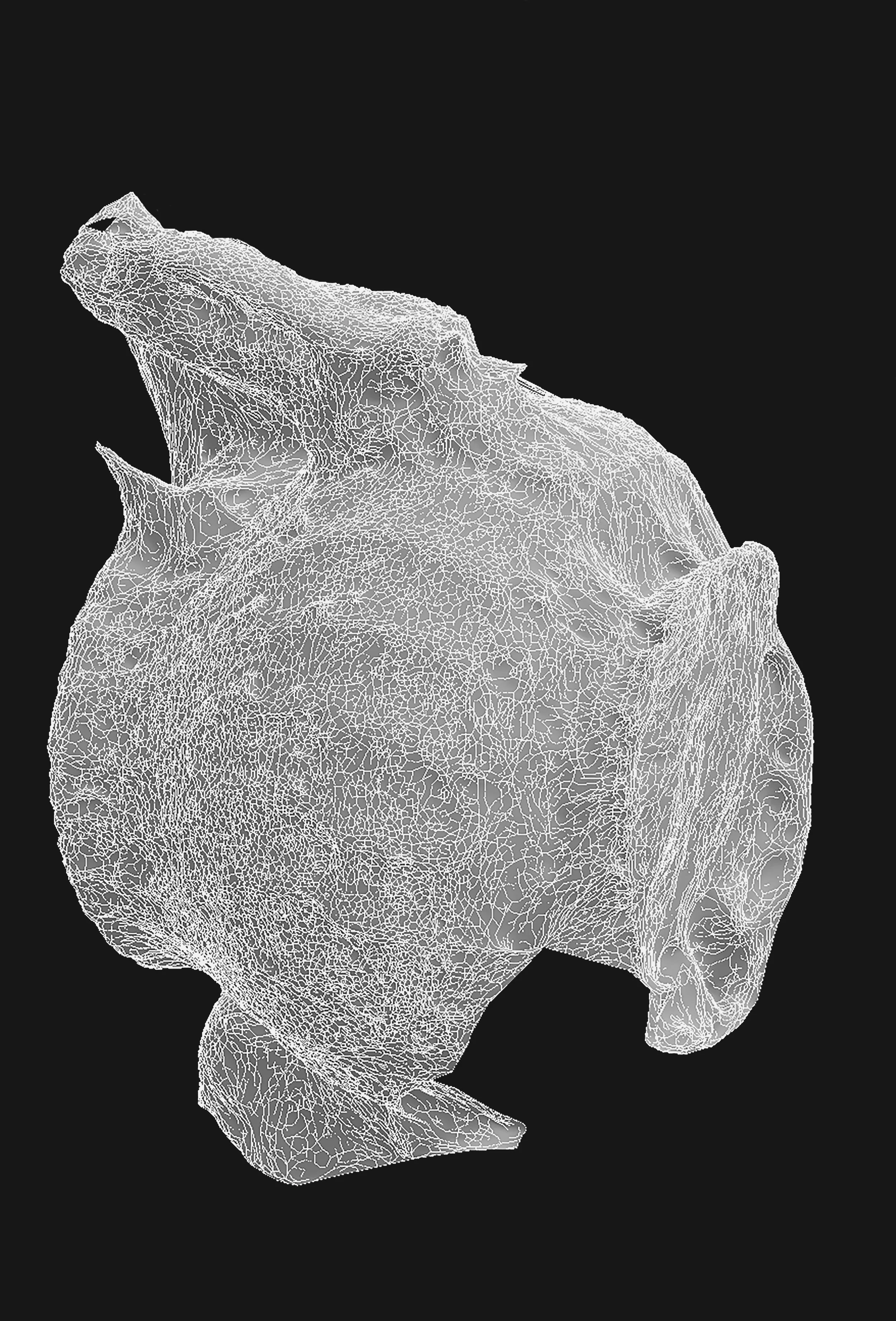  conversation piece l, 3d scan for a composite object, archival print, 2024 
