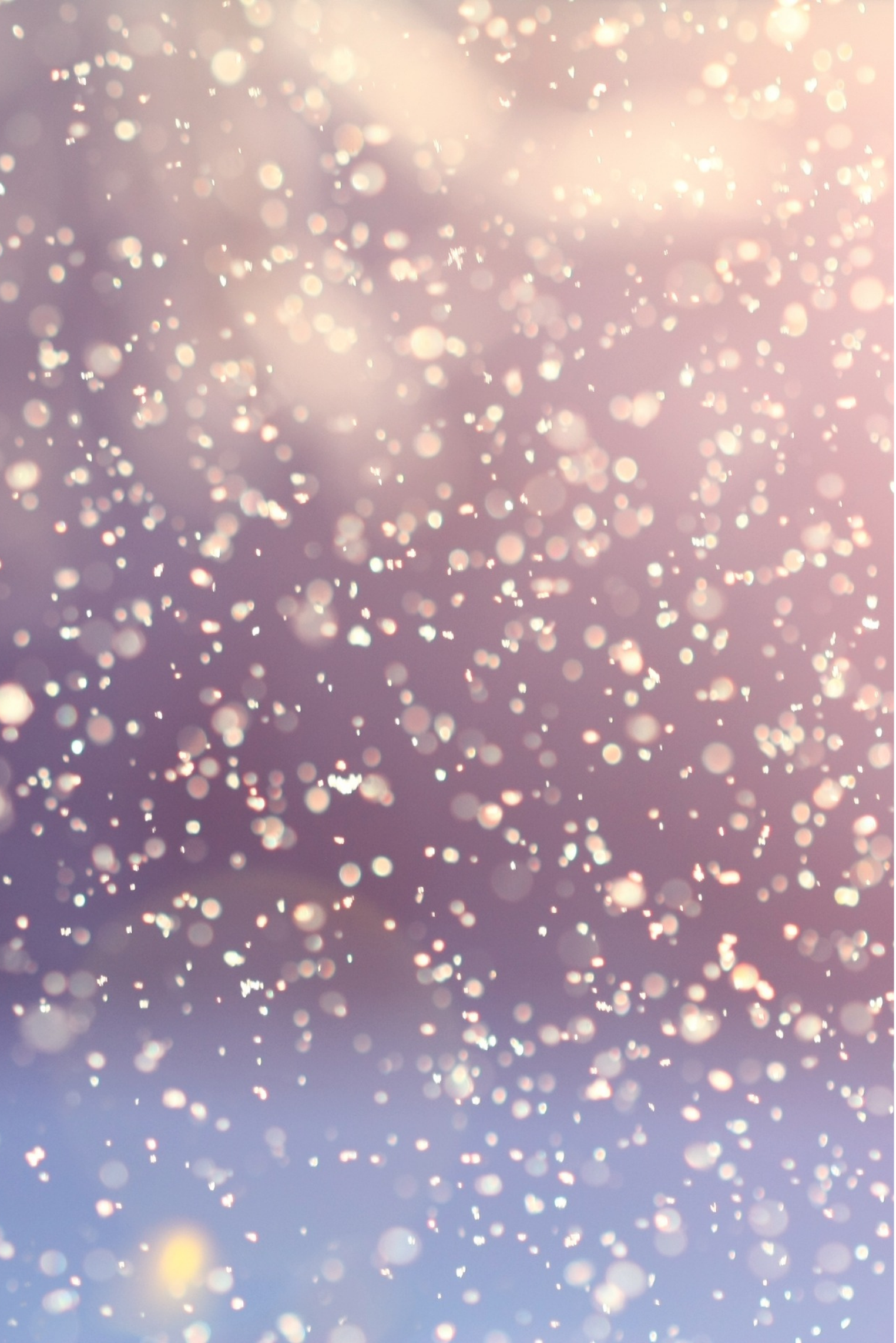 holioday_bck.png
