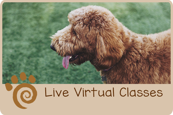 Live Virtual Classes