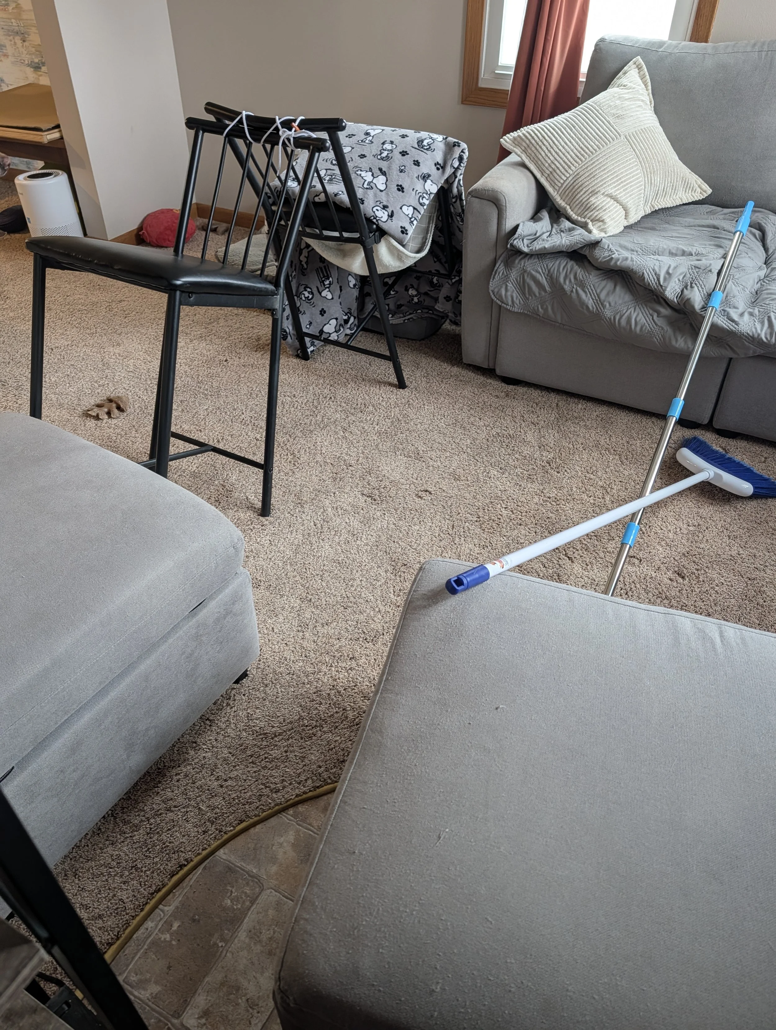 At-Home Enrichment: Rainy Day Obstacle Course