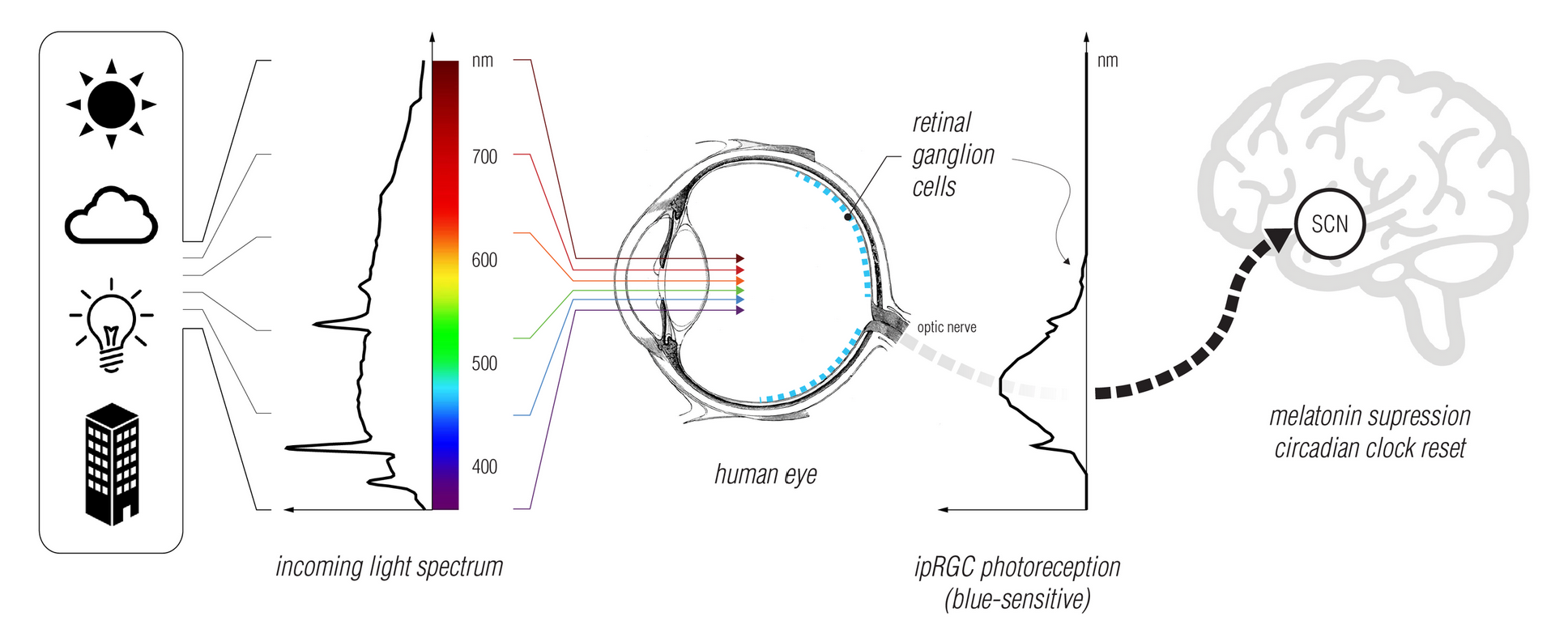 New Spectral Workflows in ClimateStudio