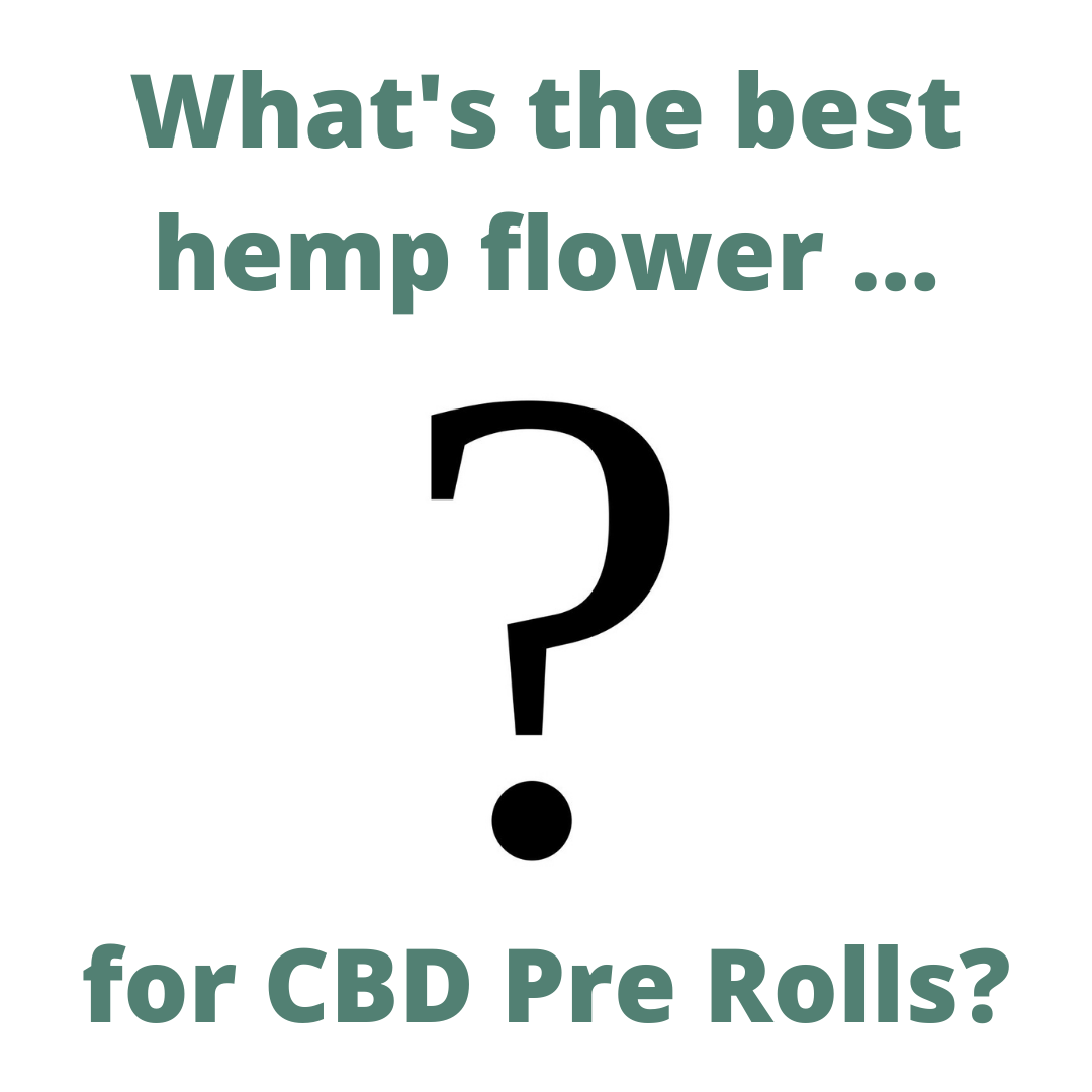 What's the best hemp flower for CBD Pre Rolls_ (1).png