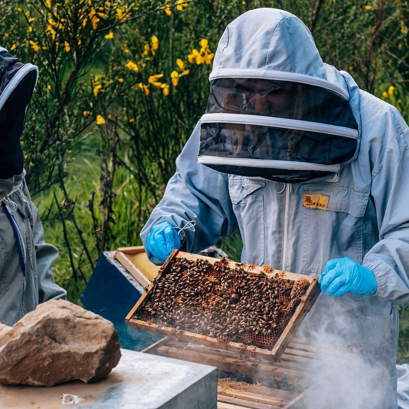 These little guys are at the heart of Bruadar creation and without them we wouldn't be here.🐝⁠
⁠
Our bees on site work diligently, creating honey that ultimately becomes a part of Bruadar. From bee to Bruadar, it's a beautiful journey adding natural