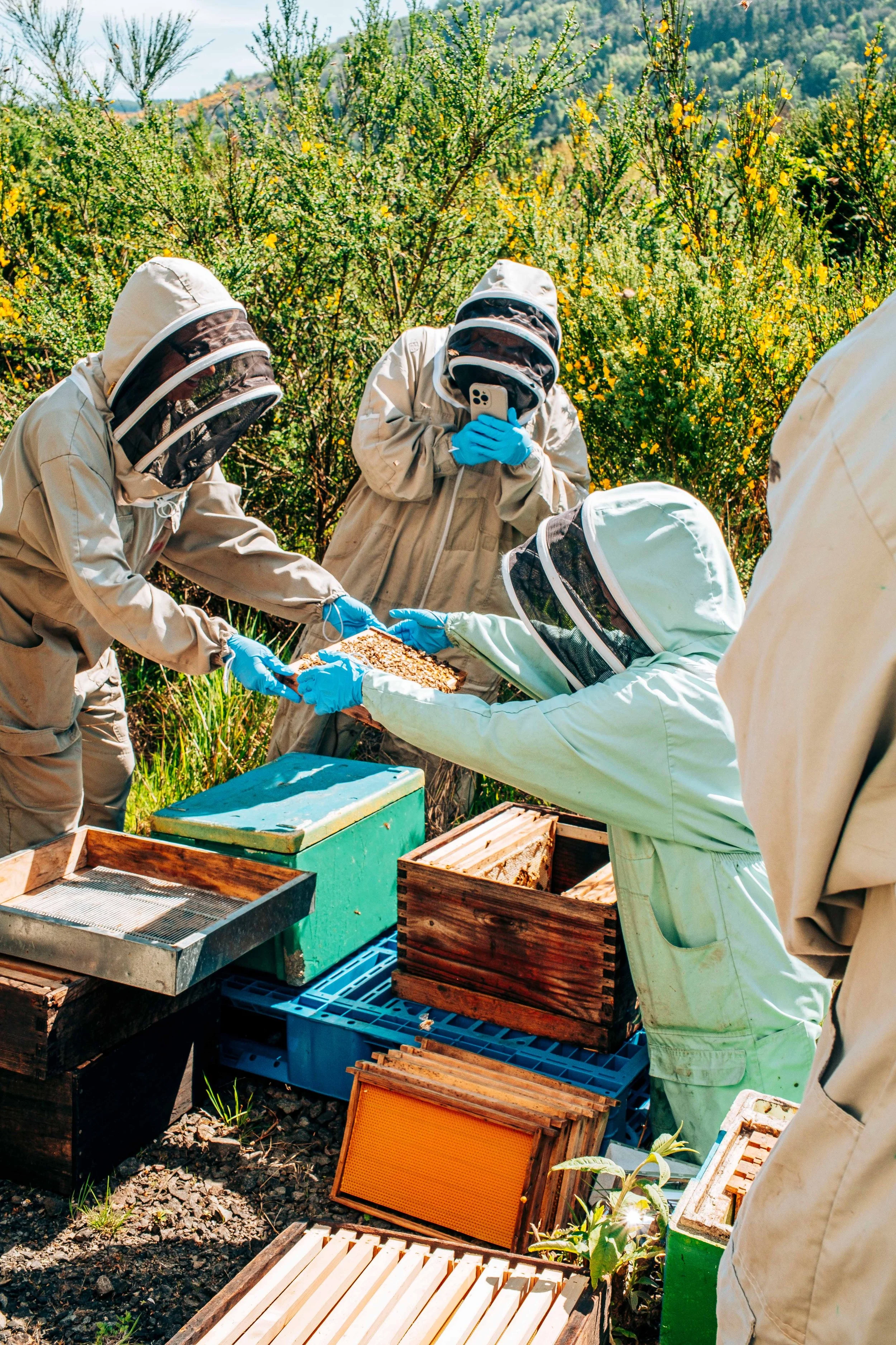 WORLD BEE DAY WITH BRUADAR