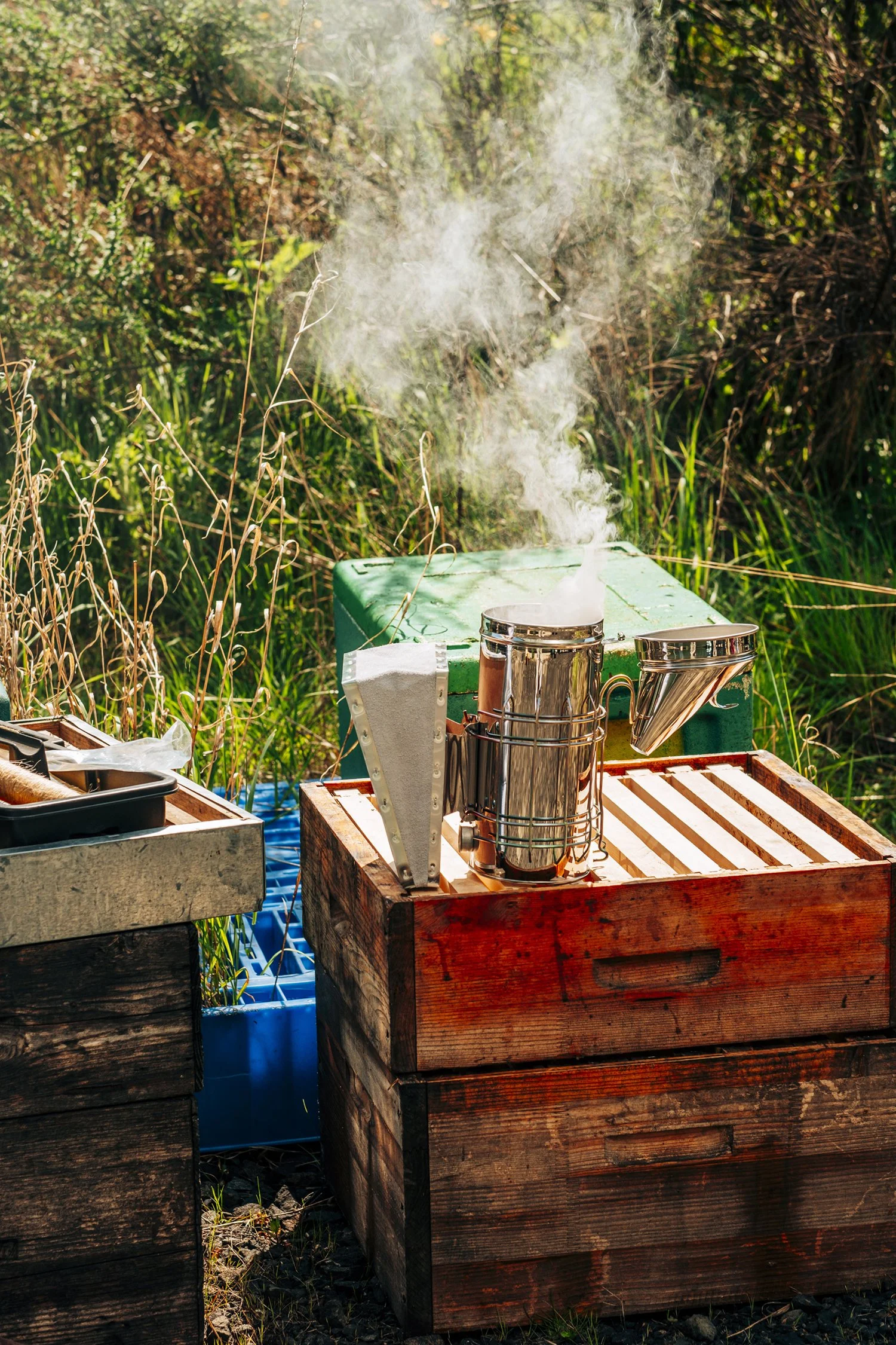 What Is World Bee Day?