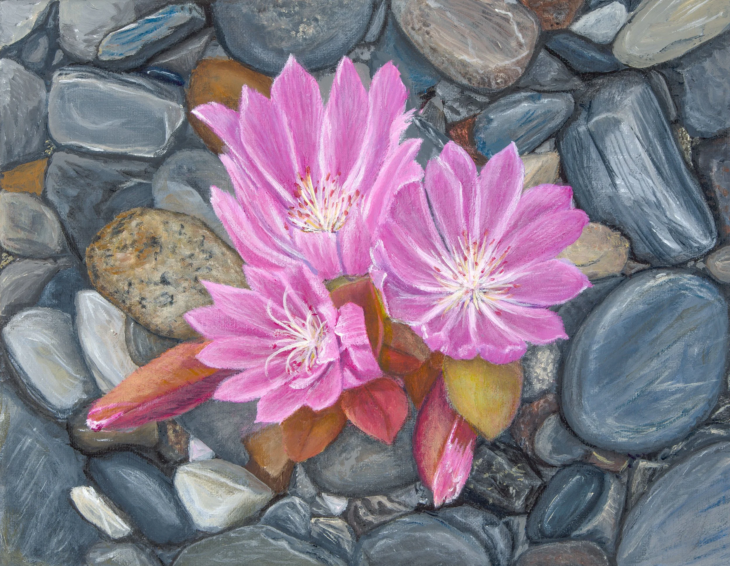 bitterroots Debbie Burt.jpg