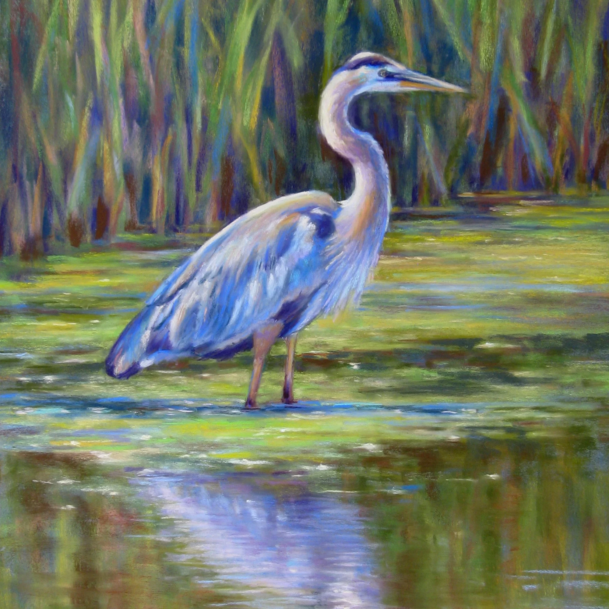 Elloie Jeter - Great Blue H 24x18 IMG_1560.JPG.jpg