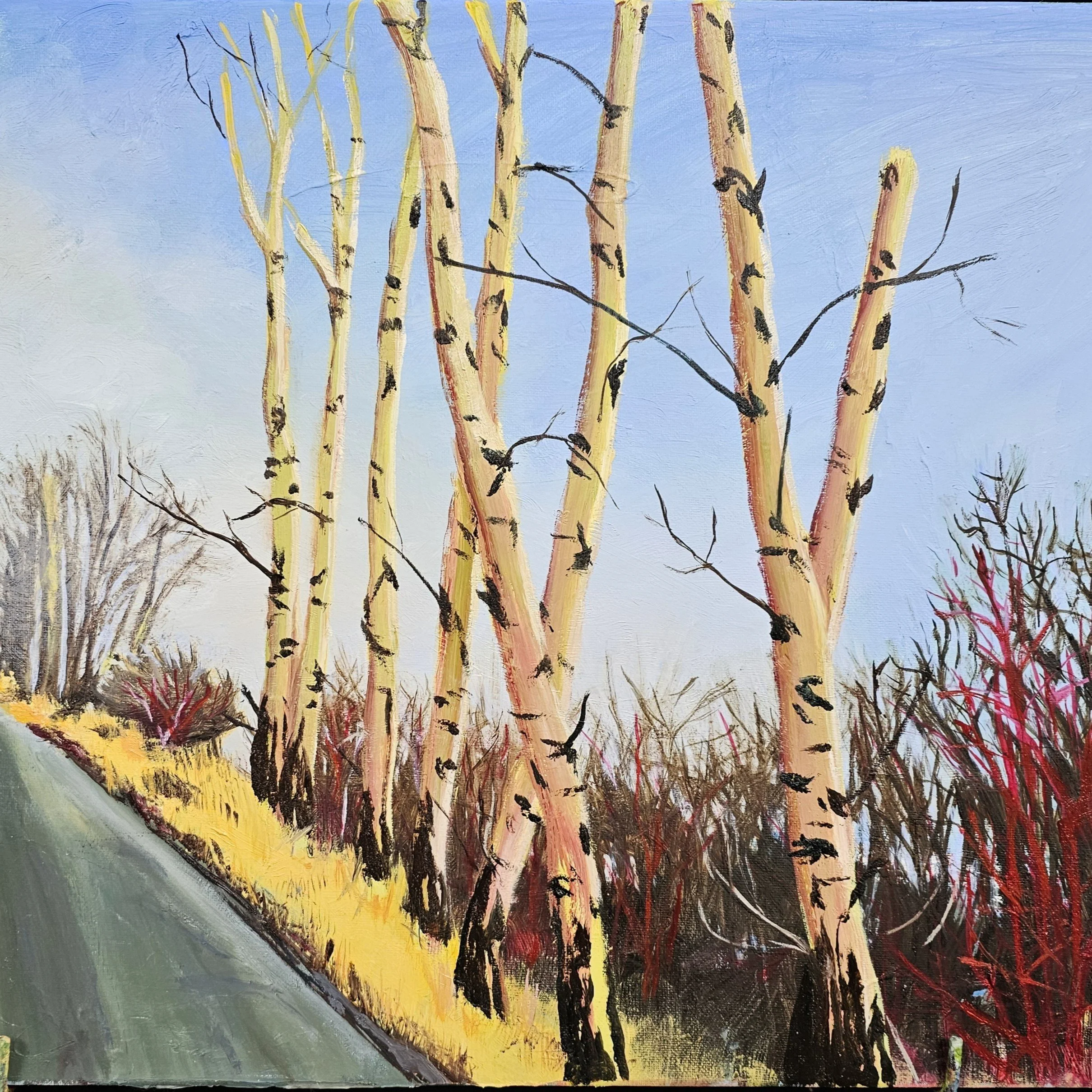 Rebecca Velde - Rebecca Velde-Cottonwoods 2.jpg