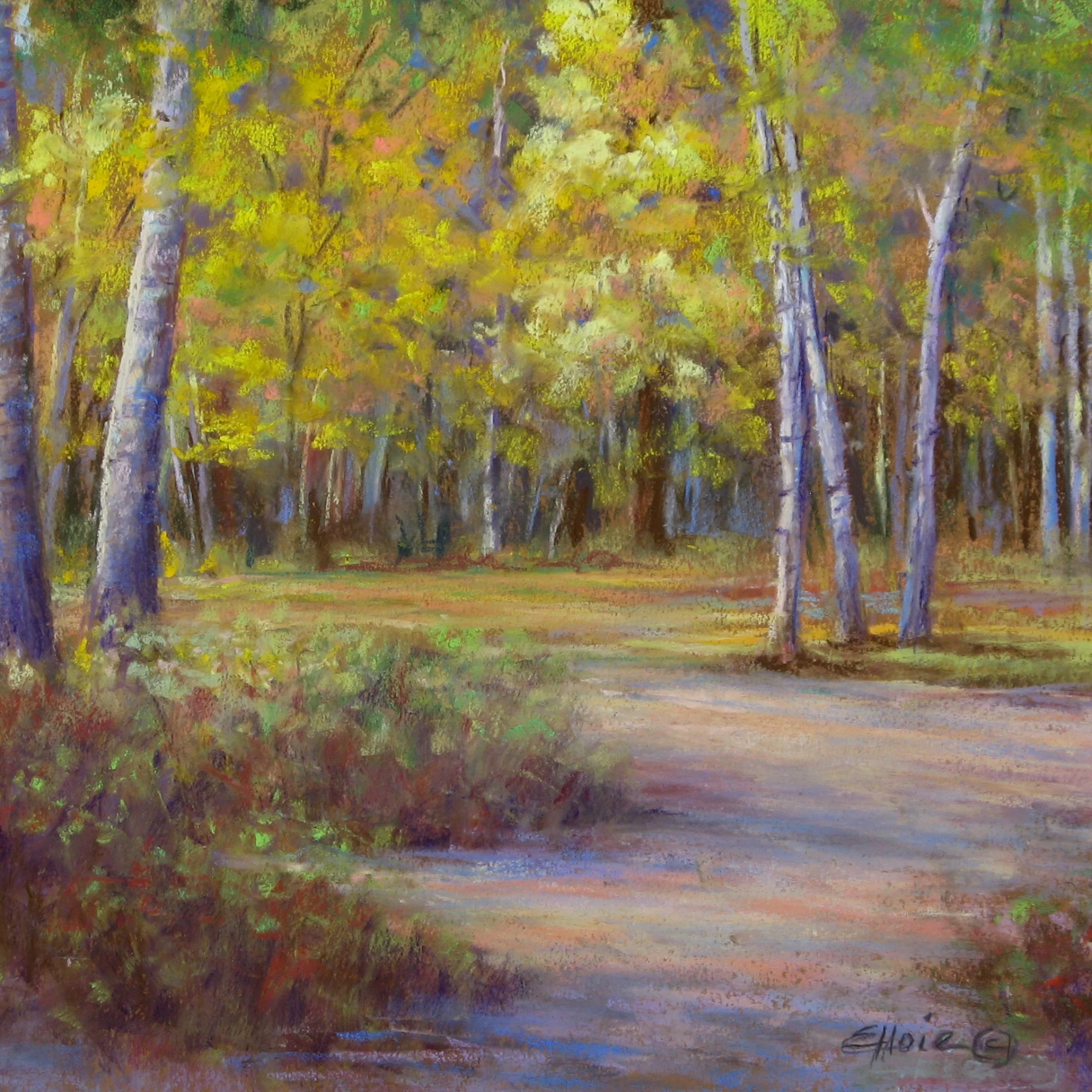 Elloie Jeter - Sunlit Aspens H 11x14 IMG_1539.JPG.jpg