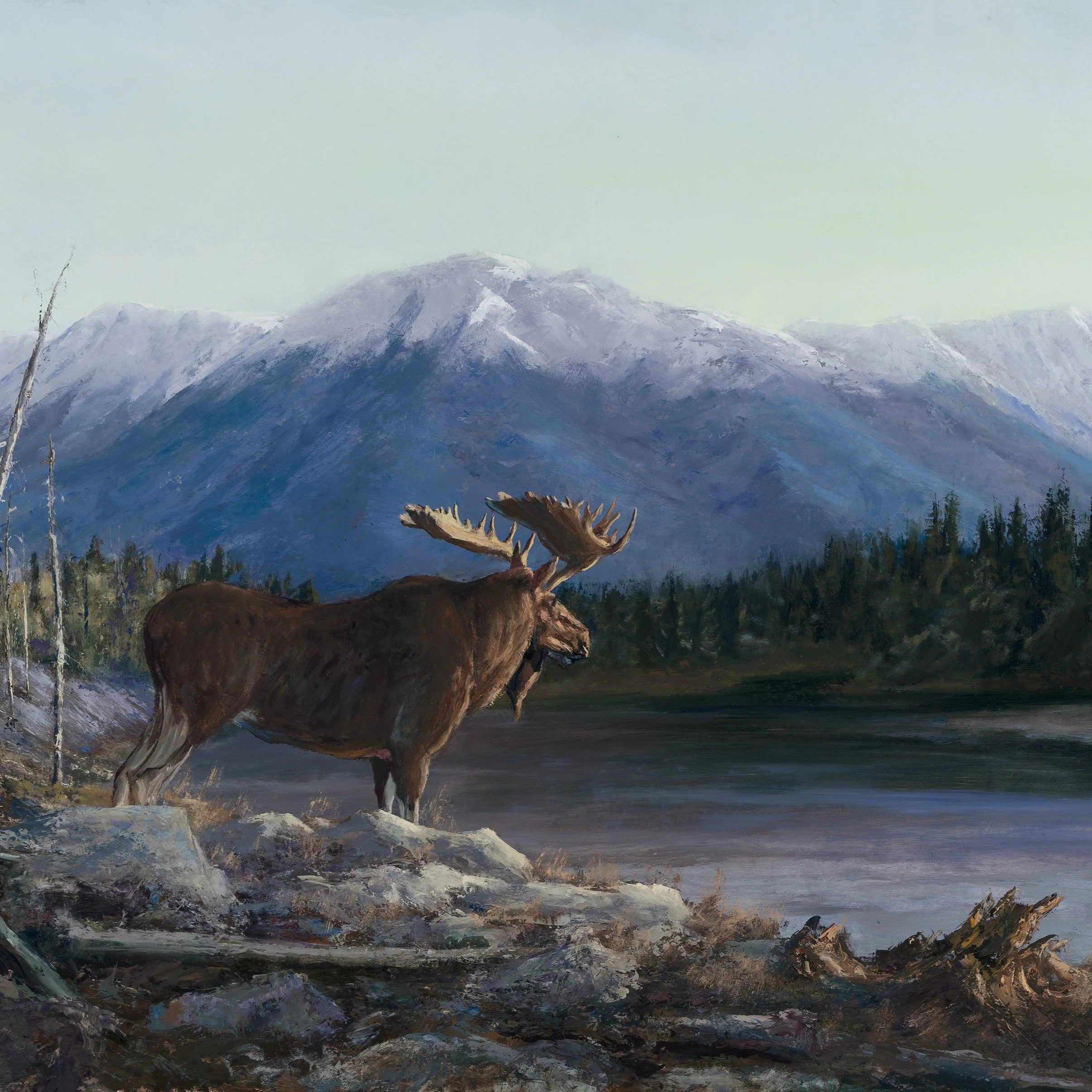 Ryan Jolley - RyanJolley_Morning Glory.jpg