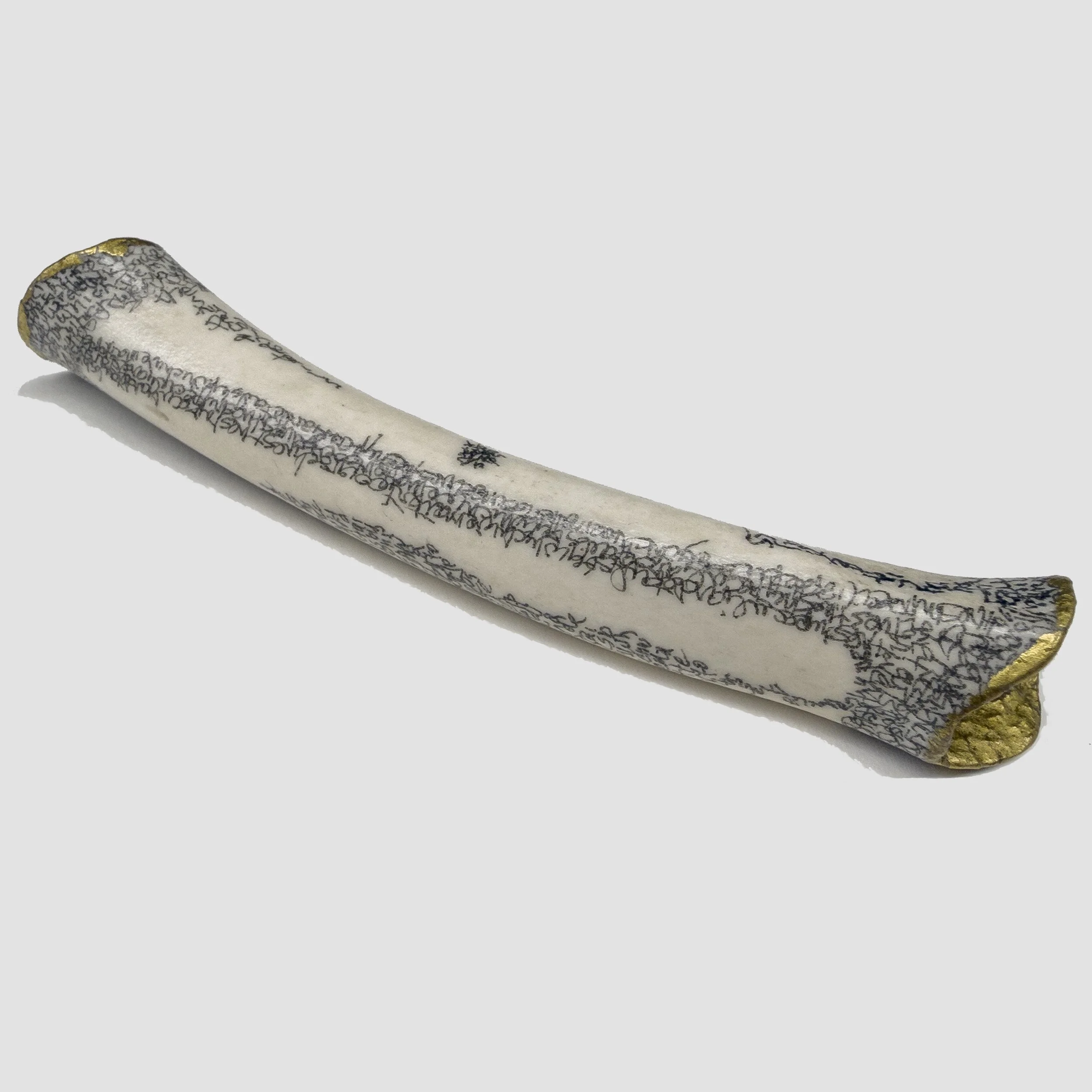 Melissa Arnold - carved bone SQ.jpg