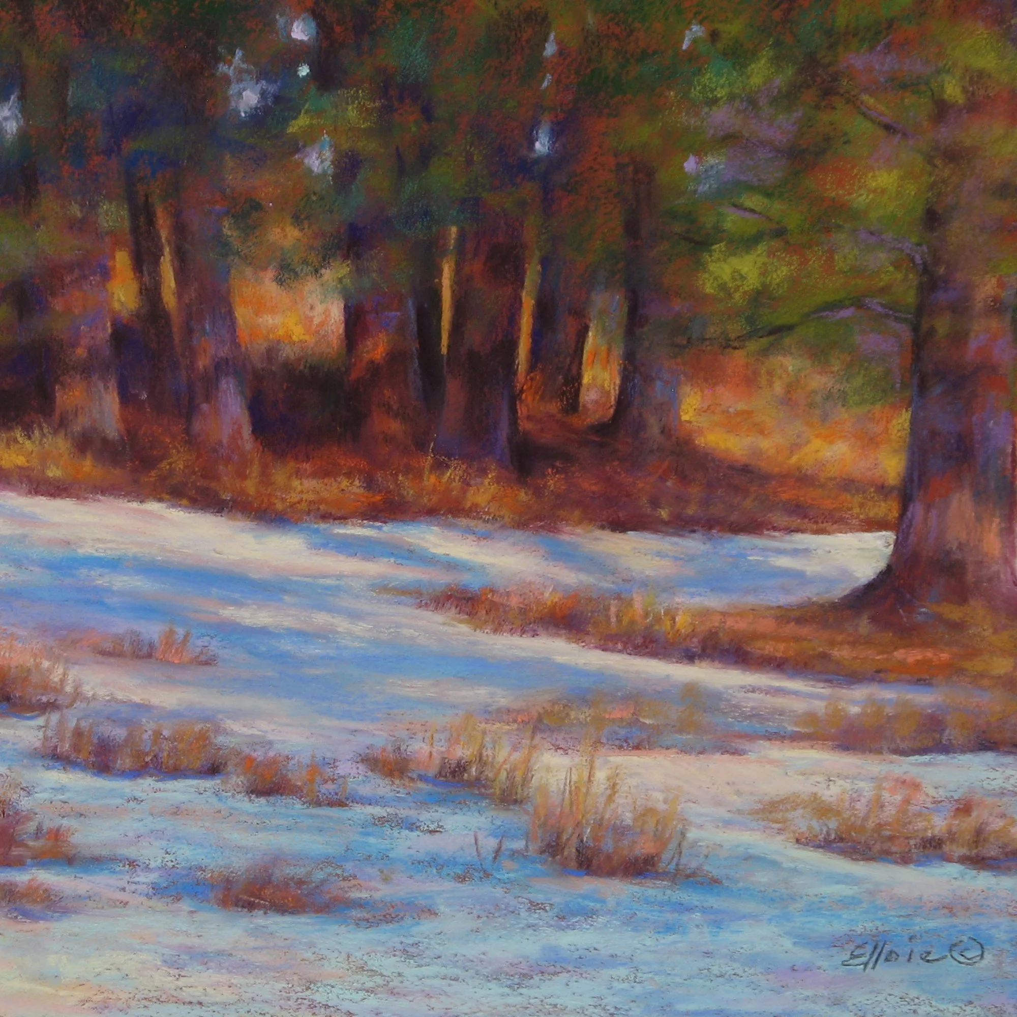 Elloie Jeter - Pine Family 11x14 IMG_1530.JPG.jpg