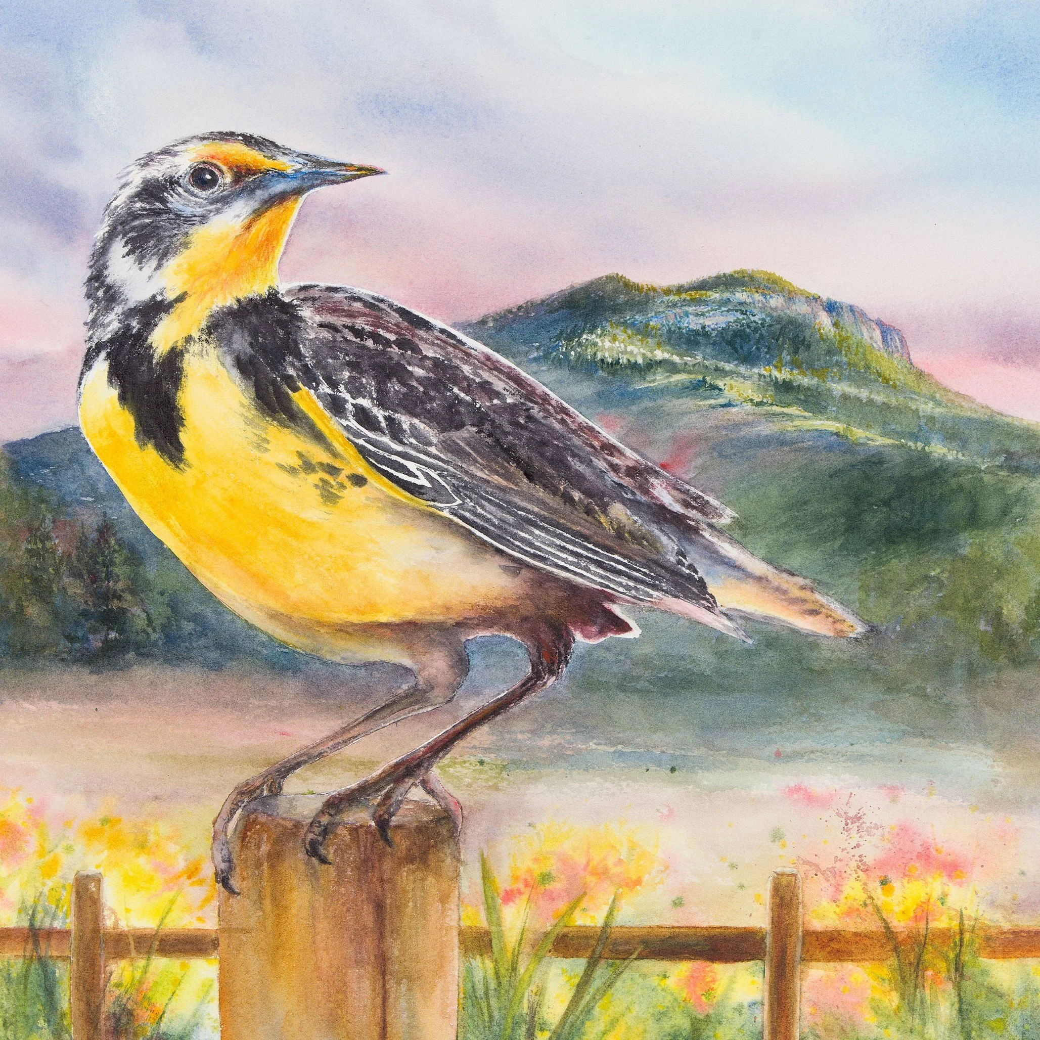 Roberta Burruss - Roberta Burruss - Meadowlark Morning.jpg
