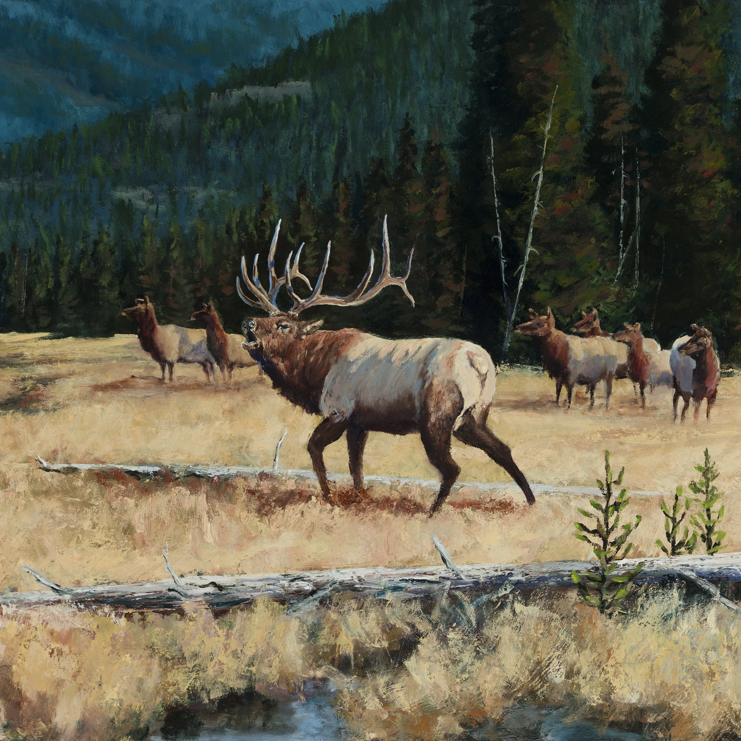 Ryan Jolley - RyanJolley_Heavy Lies The Crown.jpg