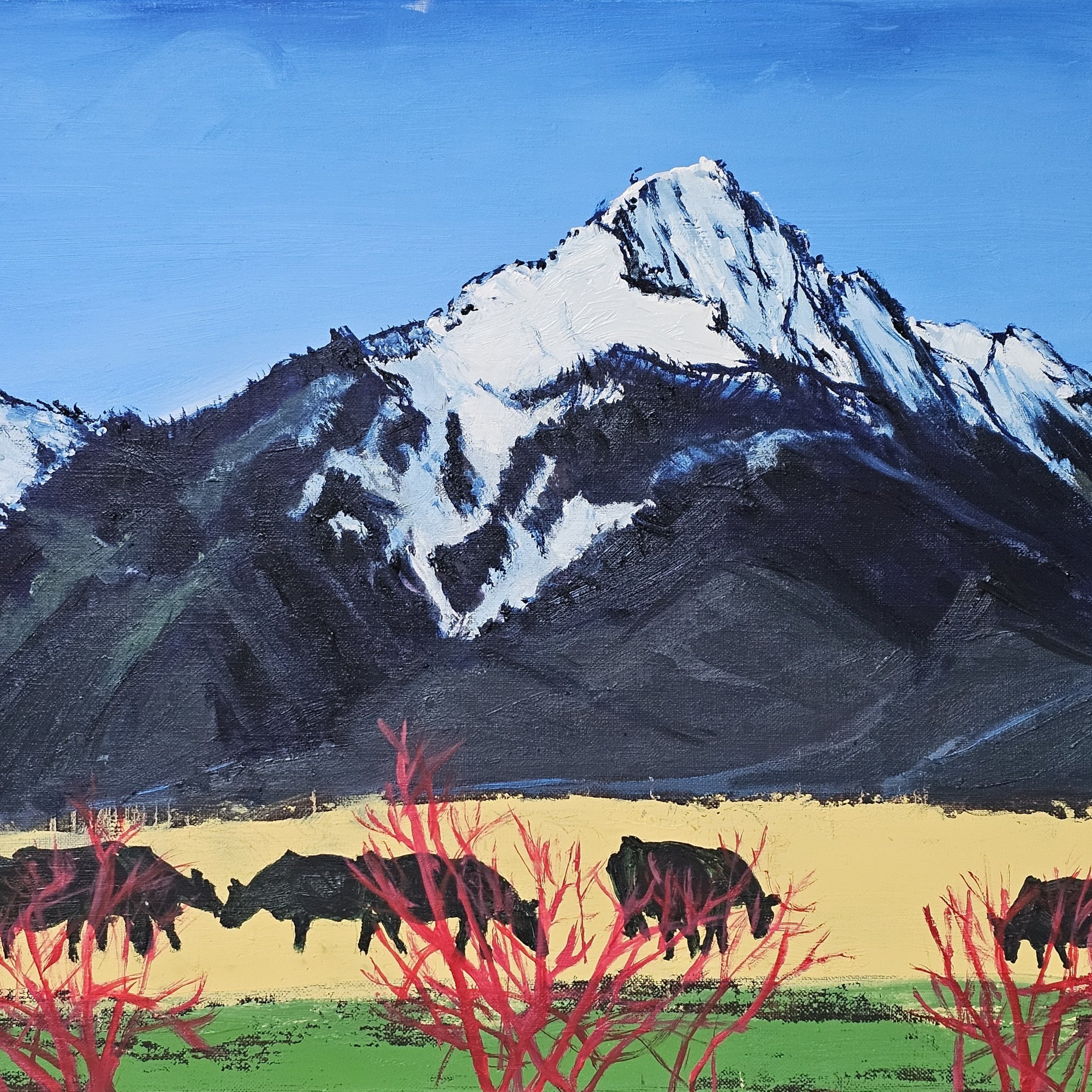 Rebecca Velde - Rebecca Velde-Black Cows Red Dogwood.jpg