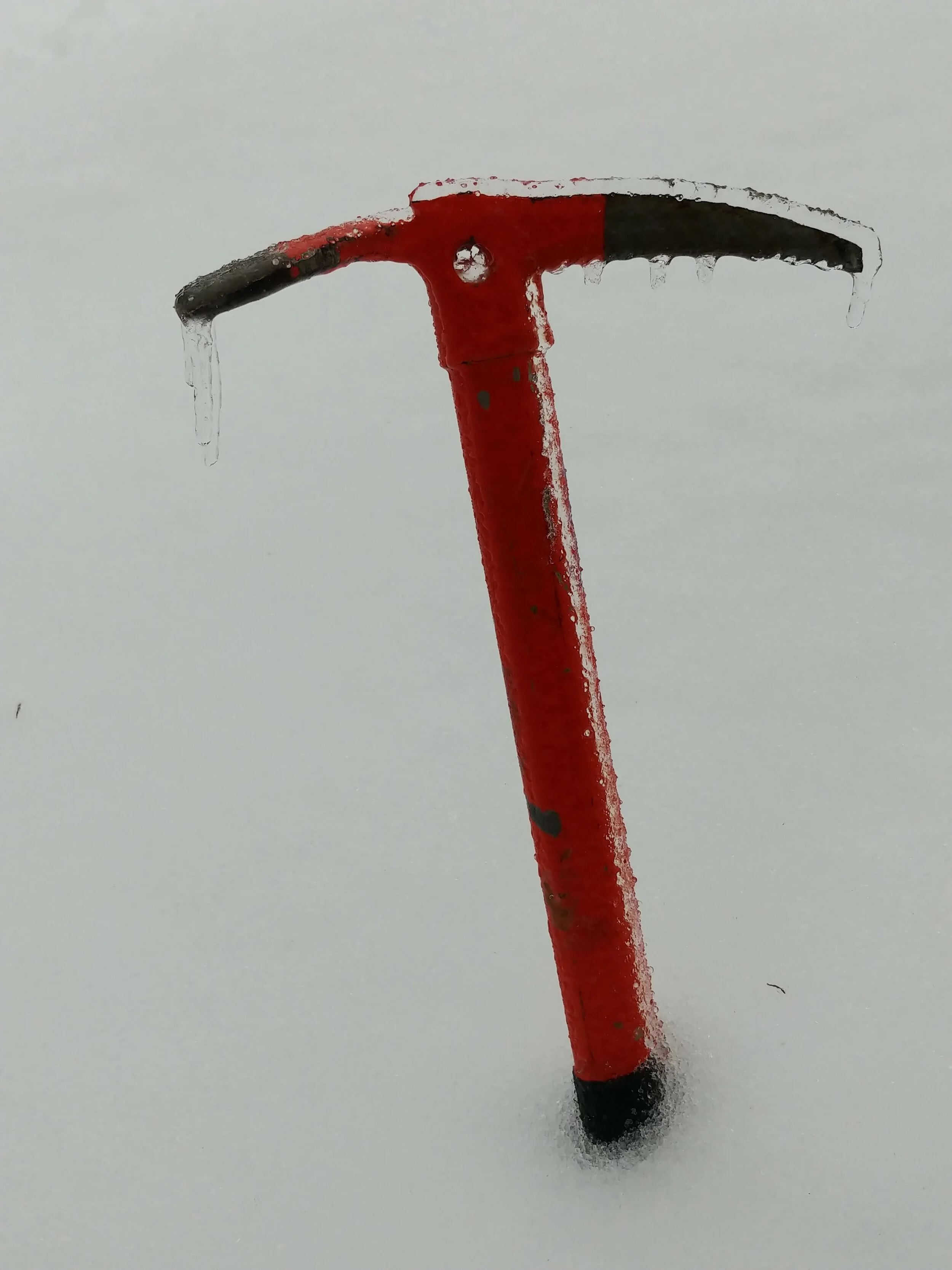 0403200822d.jpg
