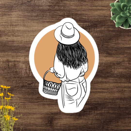 Illustrations