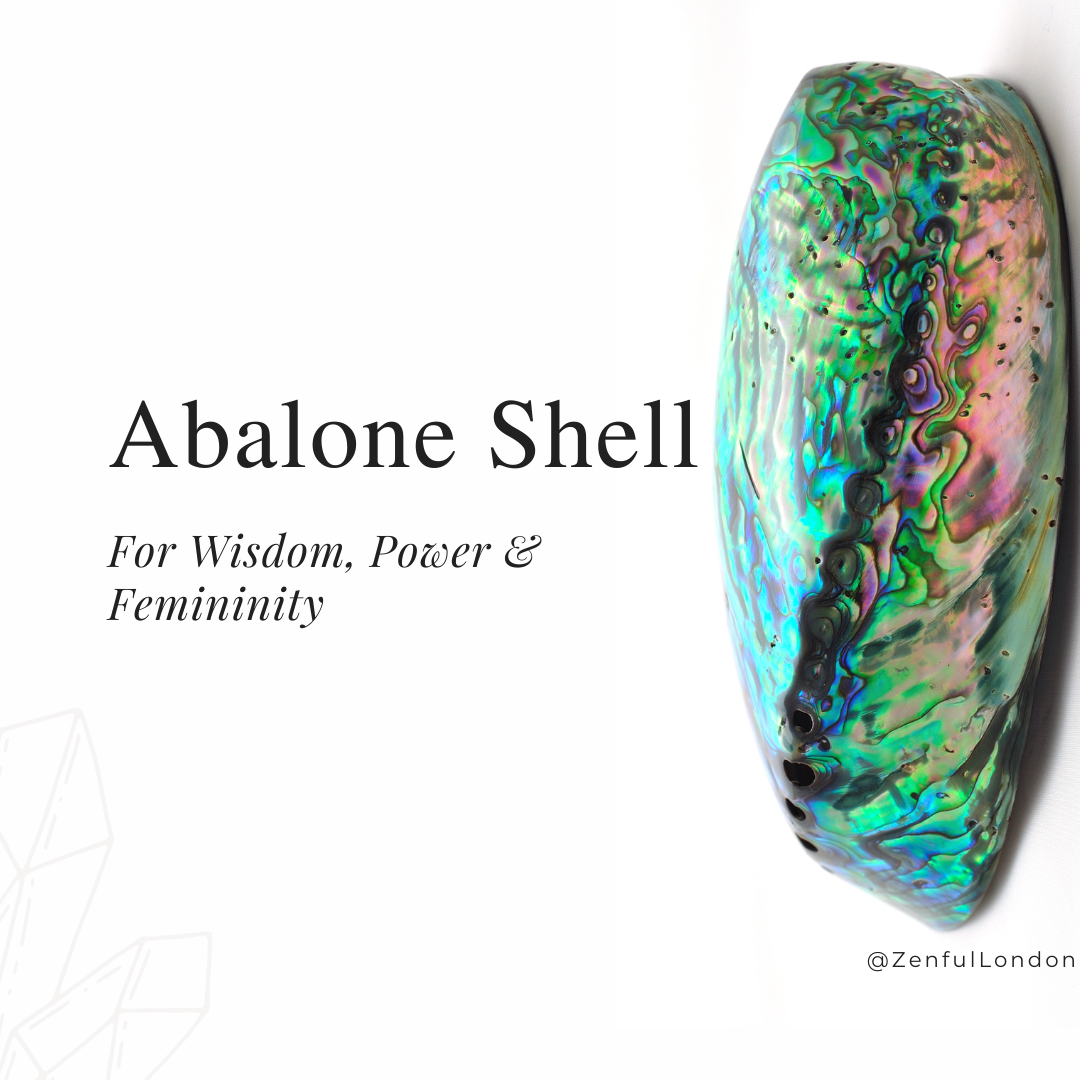 Learn With Us Abalone Shell Vibes Zenful London Co Learn With Us Abalone Shell Vibes Zenful London Co