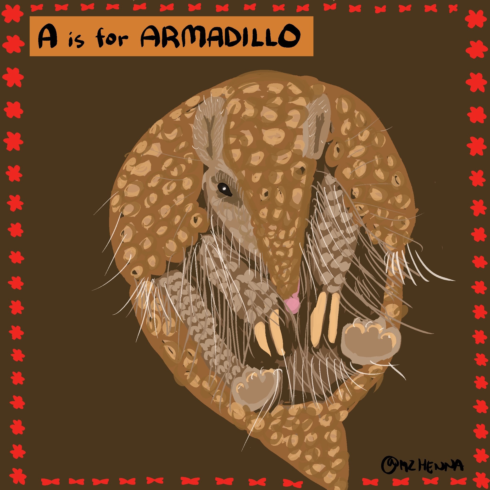 ARMADILLO.jpg