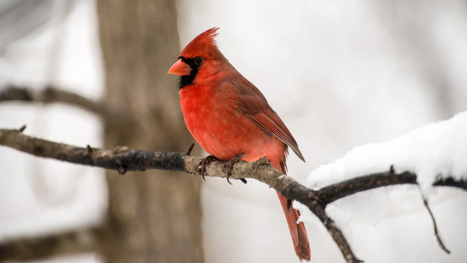 TRB_02_26_15_11-Edit.jpg