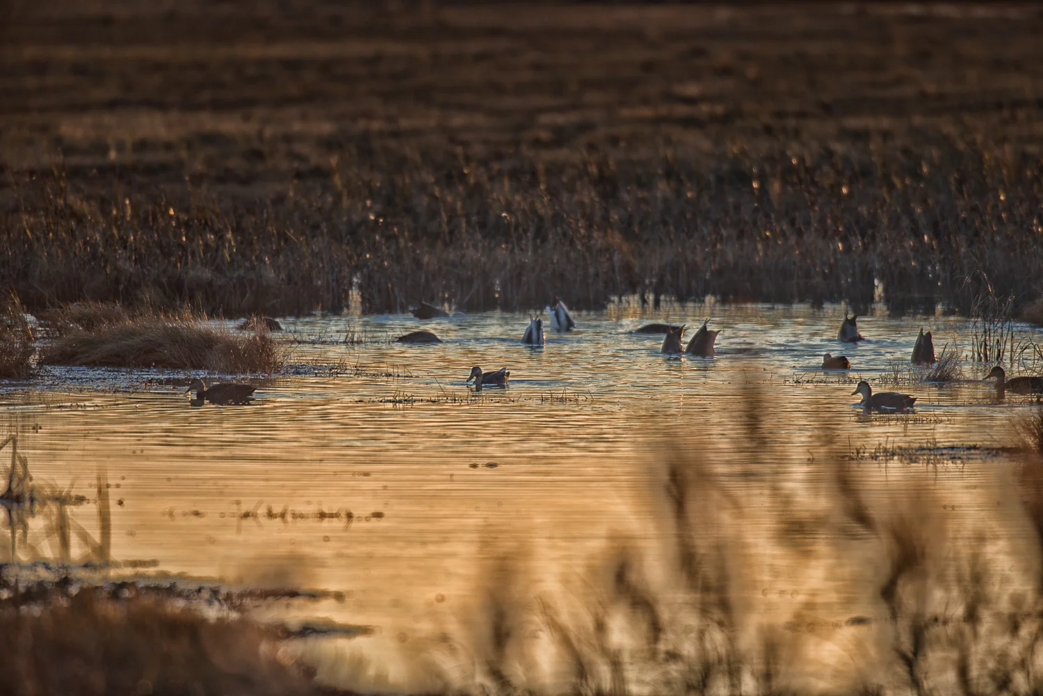 TRB_11_23_16_402-Edit-Edit-Edit.jpg