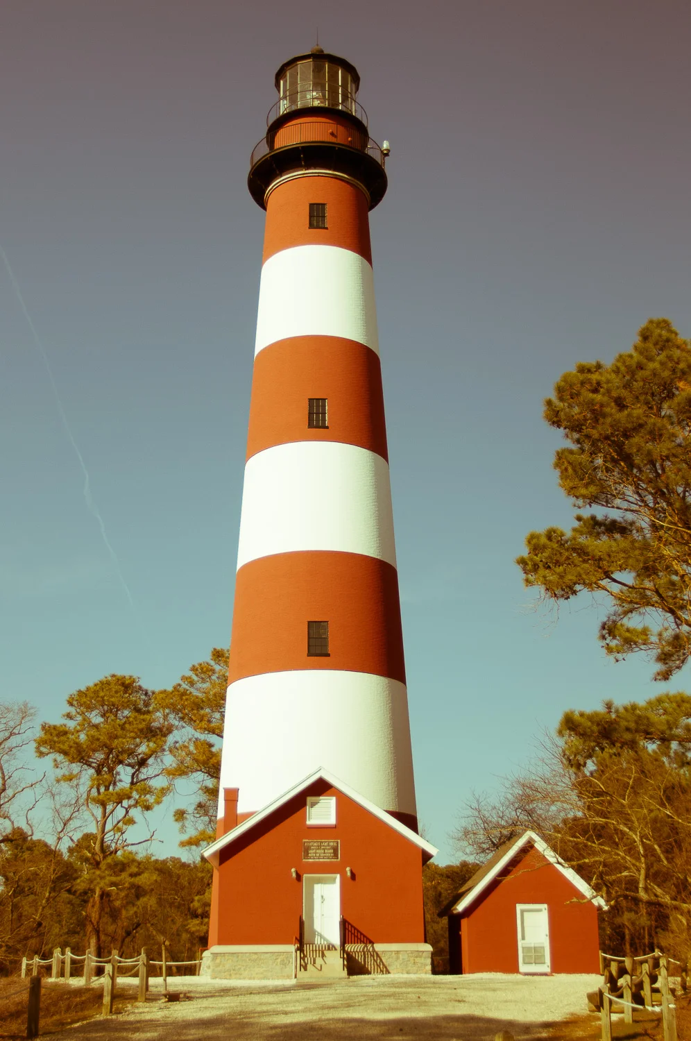 TSS:319 Assateague Light