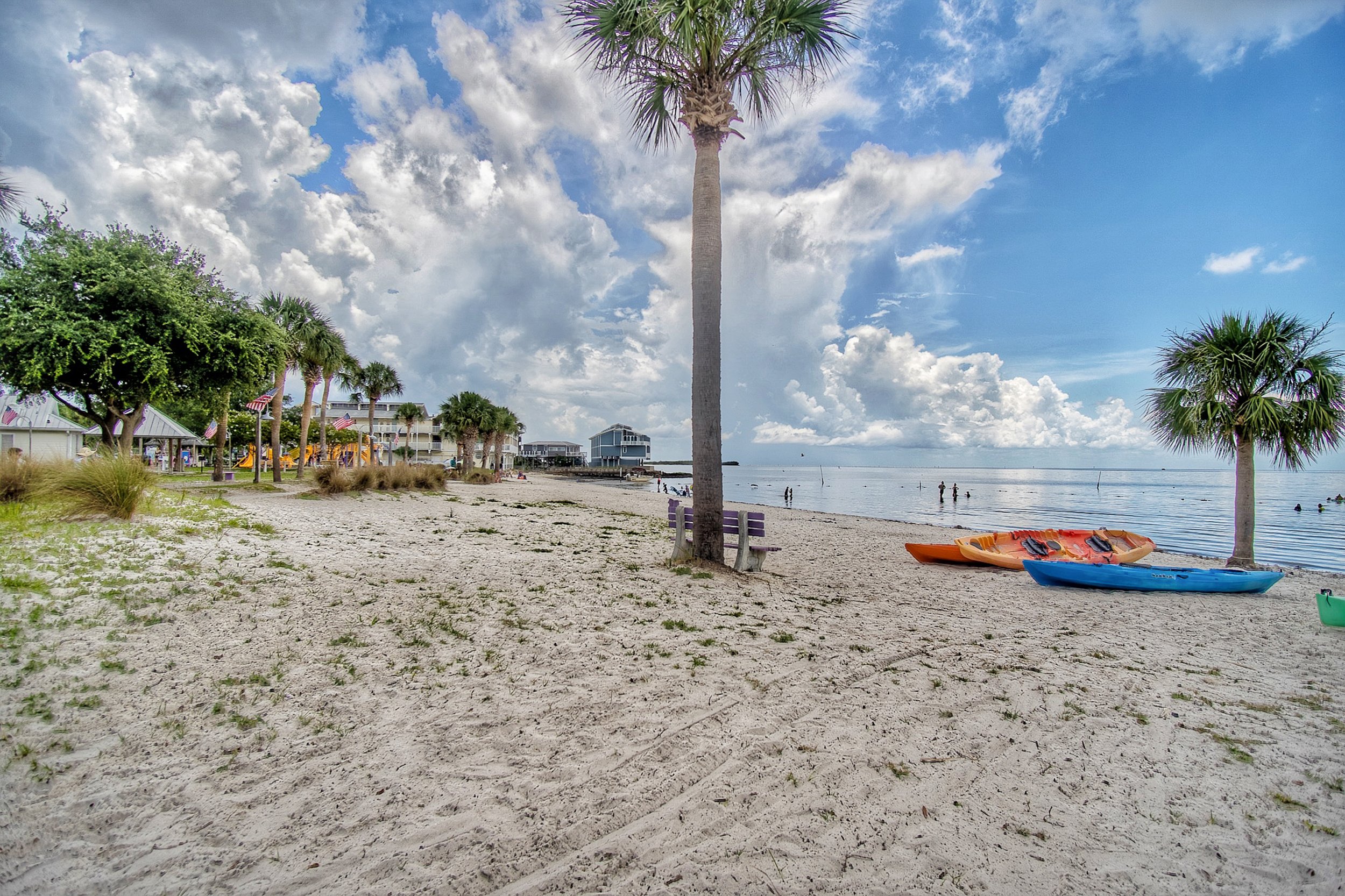Cedar Key-14.jpg