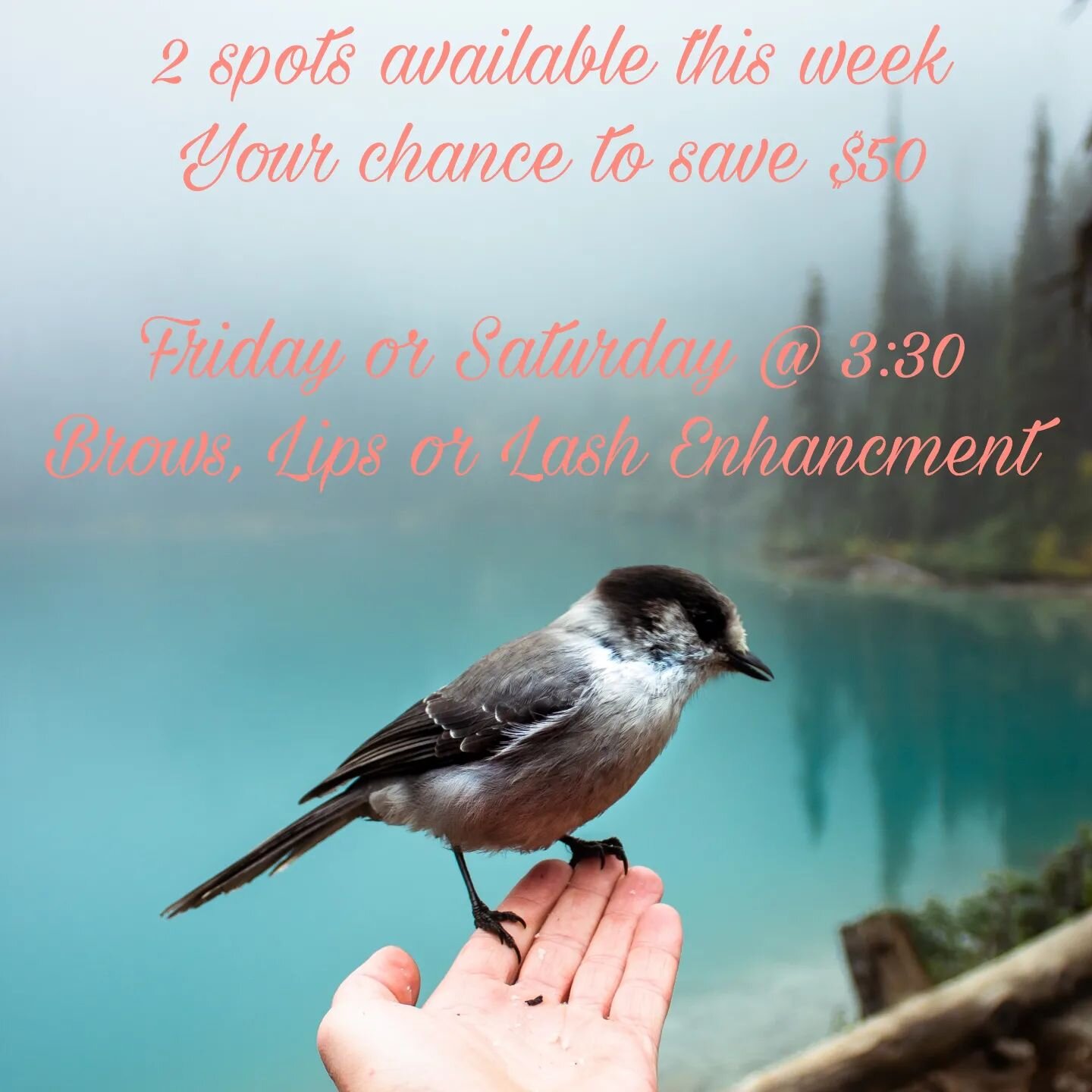 A bird in the hand means its you're lucky day to save $50 on a brow, lip or lash enhancement appointment. 🐦
I have 2 appointments available this week on Friday &amp; Saturday both at 3:30. Take this as a sign and grab this opportunity!

Book via the