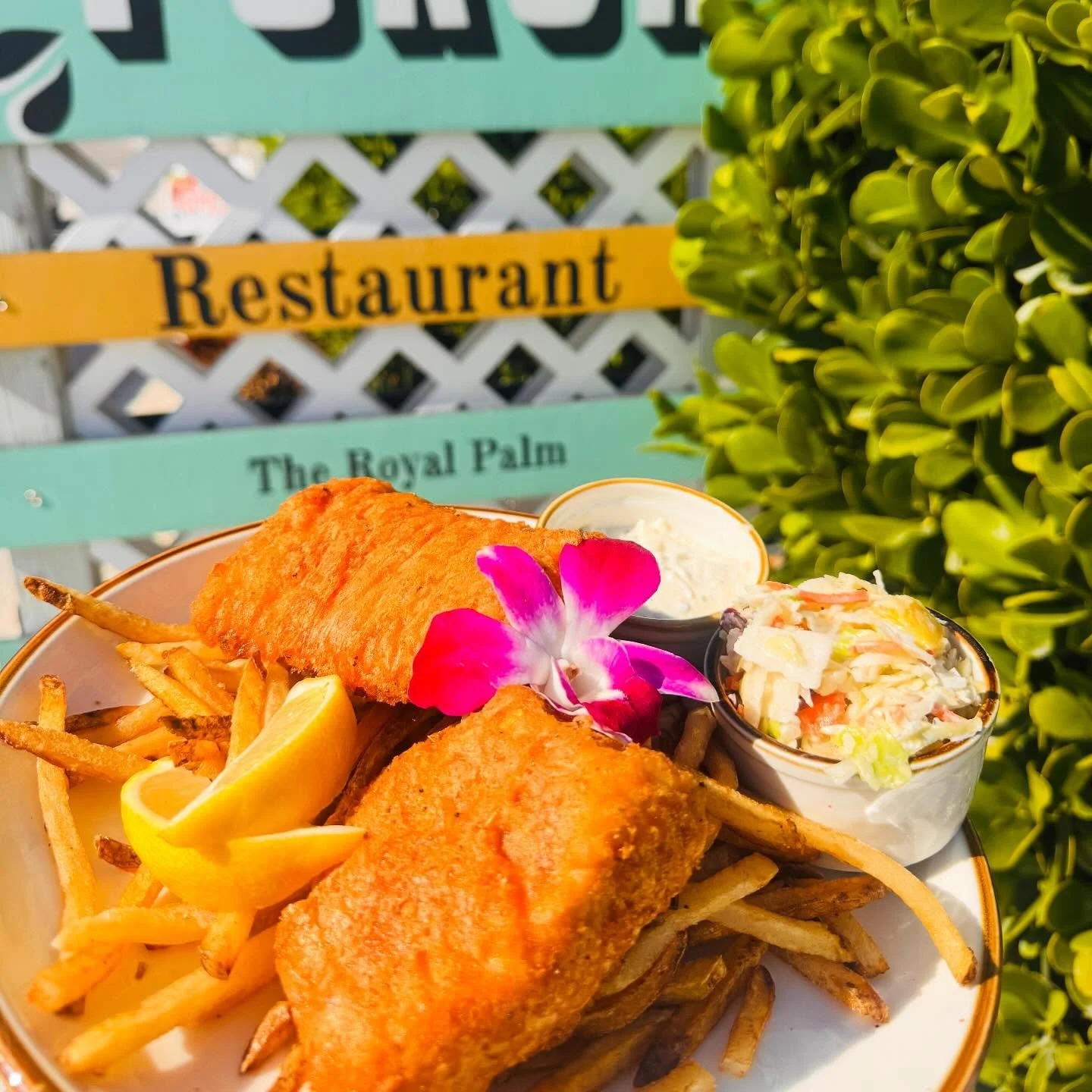 9oz Mahi Mahi Fish &amp; Chips;
Served with our house made tartar &amp; pineapple coleslaw! 
Only available between 11:00am - 3:00pm (Lunch)
Don&rsquo;t forget our Happy Hour 2:00pm - 3:00pm. 

If you miss the lunch Happy Hour, pop by when we open at