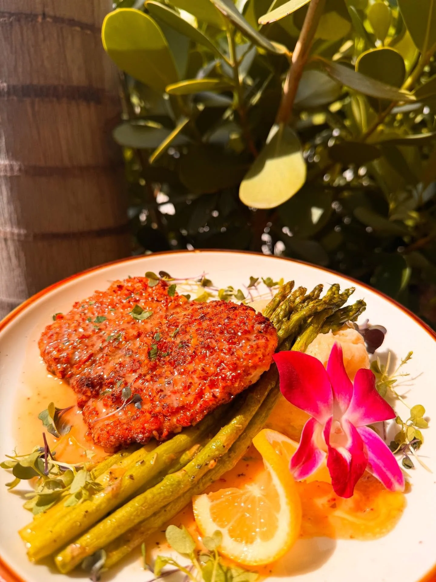 Tonight&rsquo;s Dinner Entree Special:
Pecan Crusted Tripletail
Served with a maple butter sauce,
and your choice of two sides.