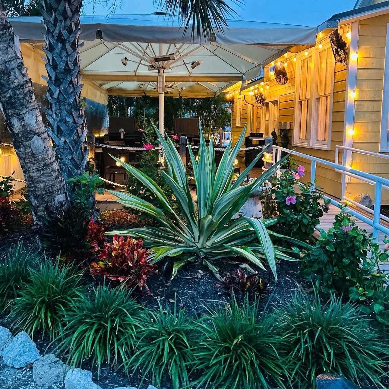 Photo Credit 📸: @tasiahlavon