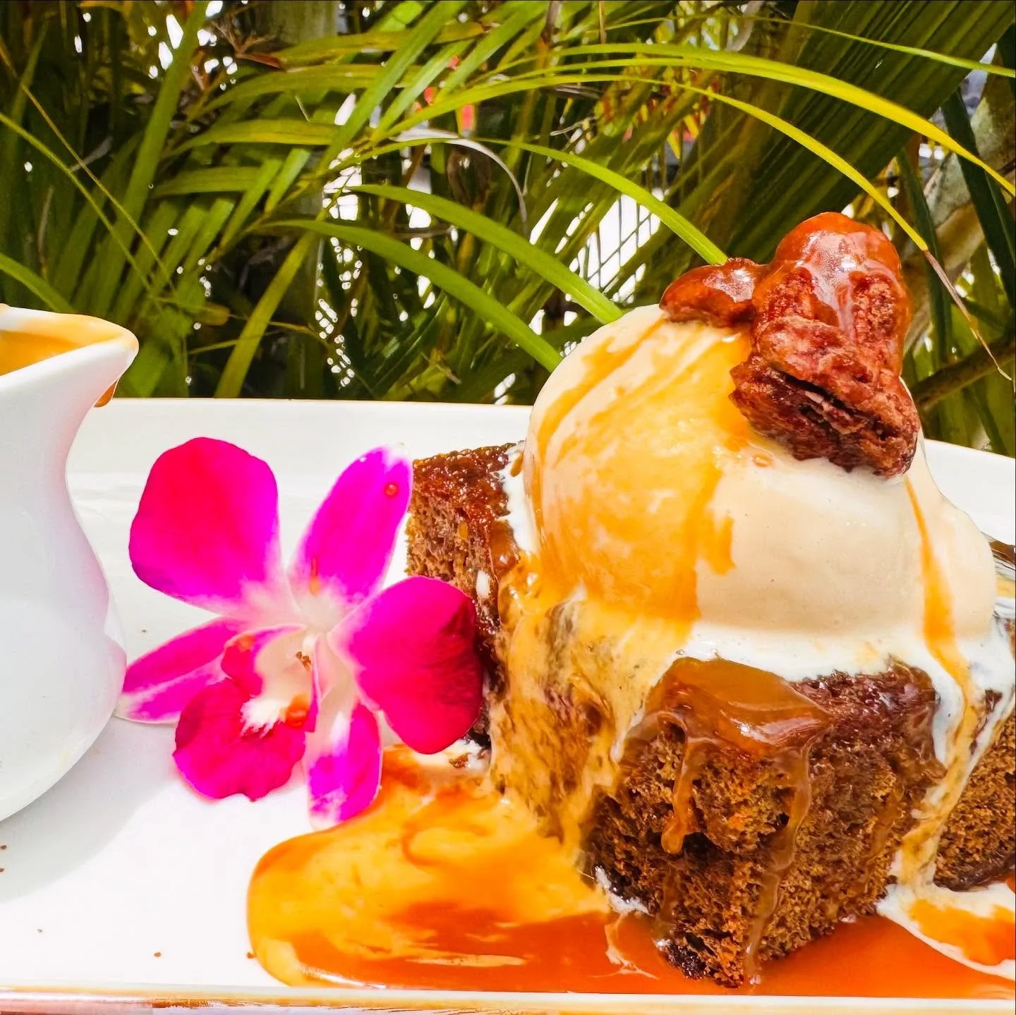 Sticky Toffee Pudding Anyone? 🩷
A dessert of moist sponge cake covered in toffee sauce, with rich notes of caramel and dates, served with vanilla ice cream and a side of sauce for you to use in its entirety. 

This dessert special is here for now;
D